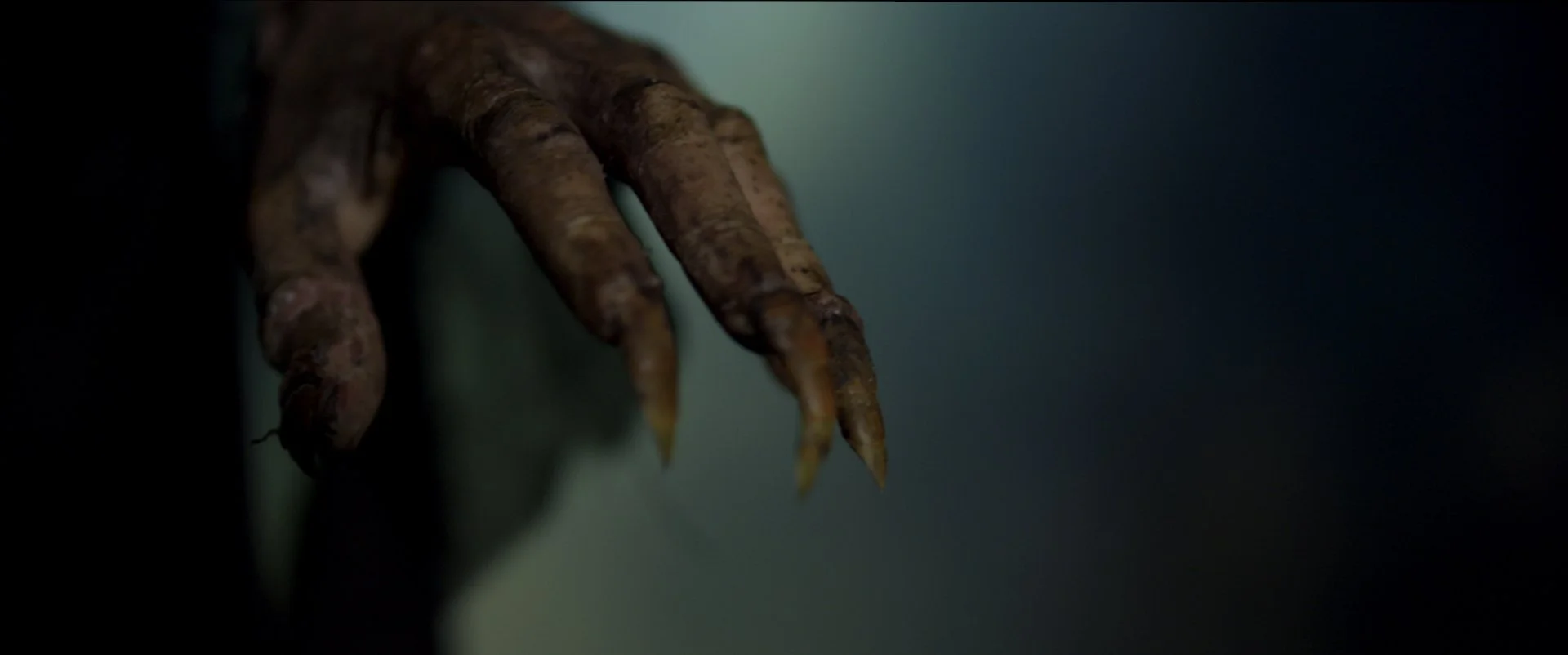 hands.jpg