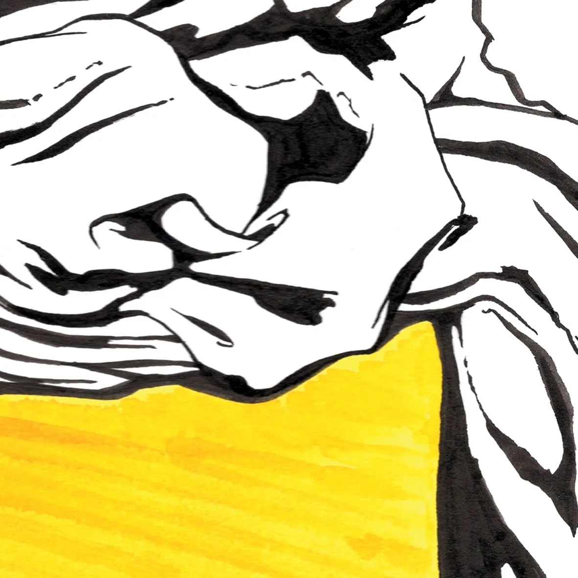 fabric ink illustration drawing