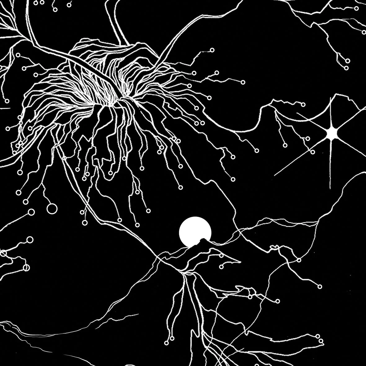 neurones universe moon lunacy drawing illustration