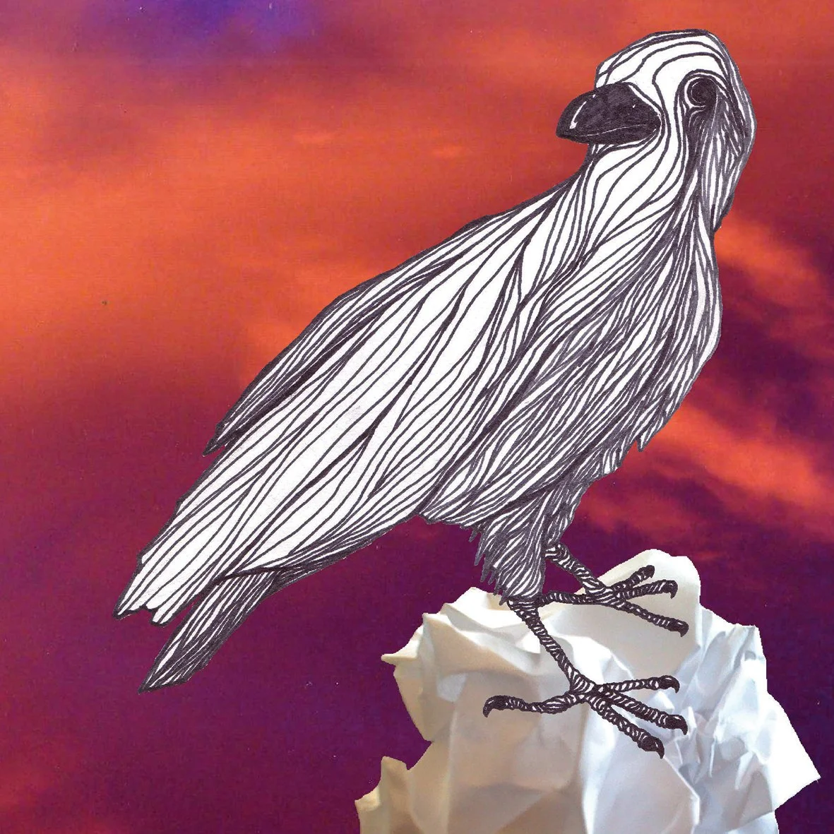 bird on paper ball in pink sky drawing illustration poster design