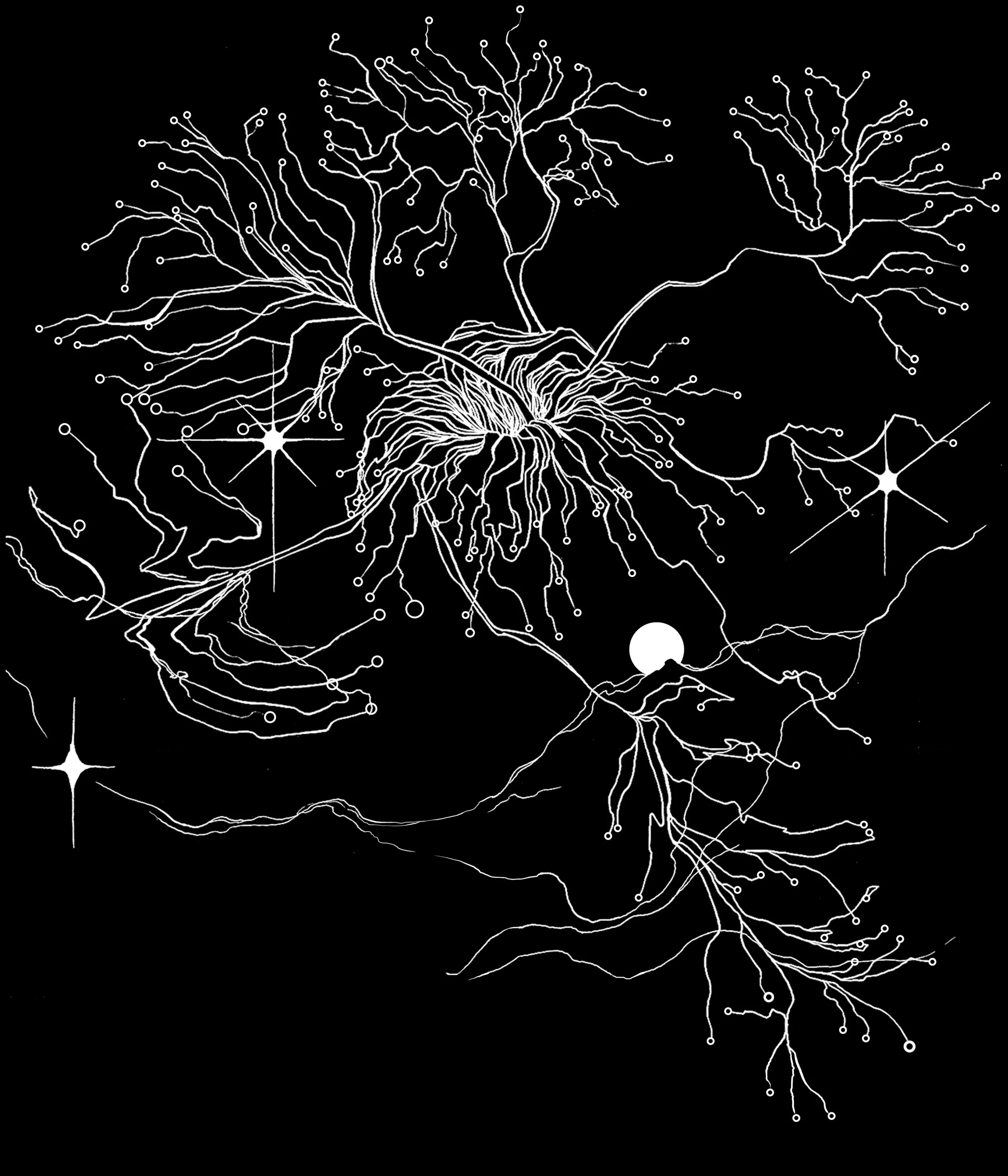 vice vera lunacy universe neurones drawing illustration