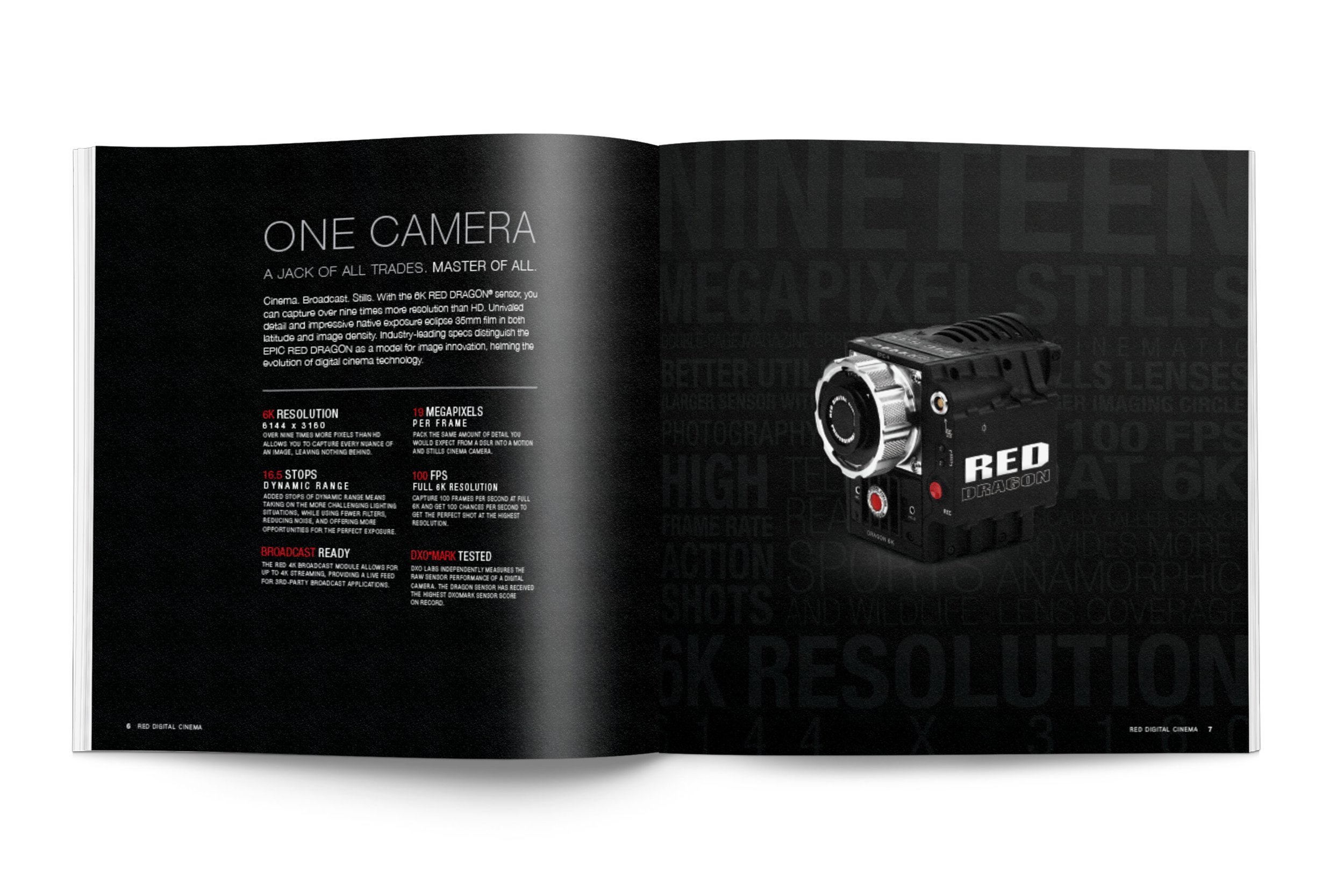 RDC-2014-Portfolio_0009_RDC-2014-Mockup_3.jpg