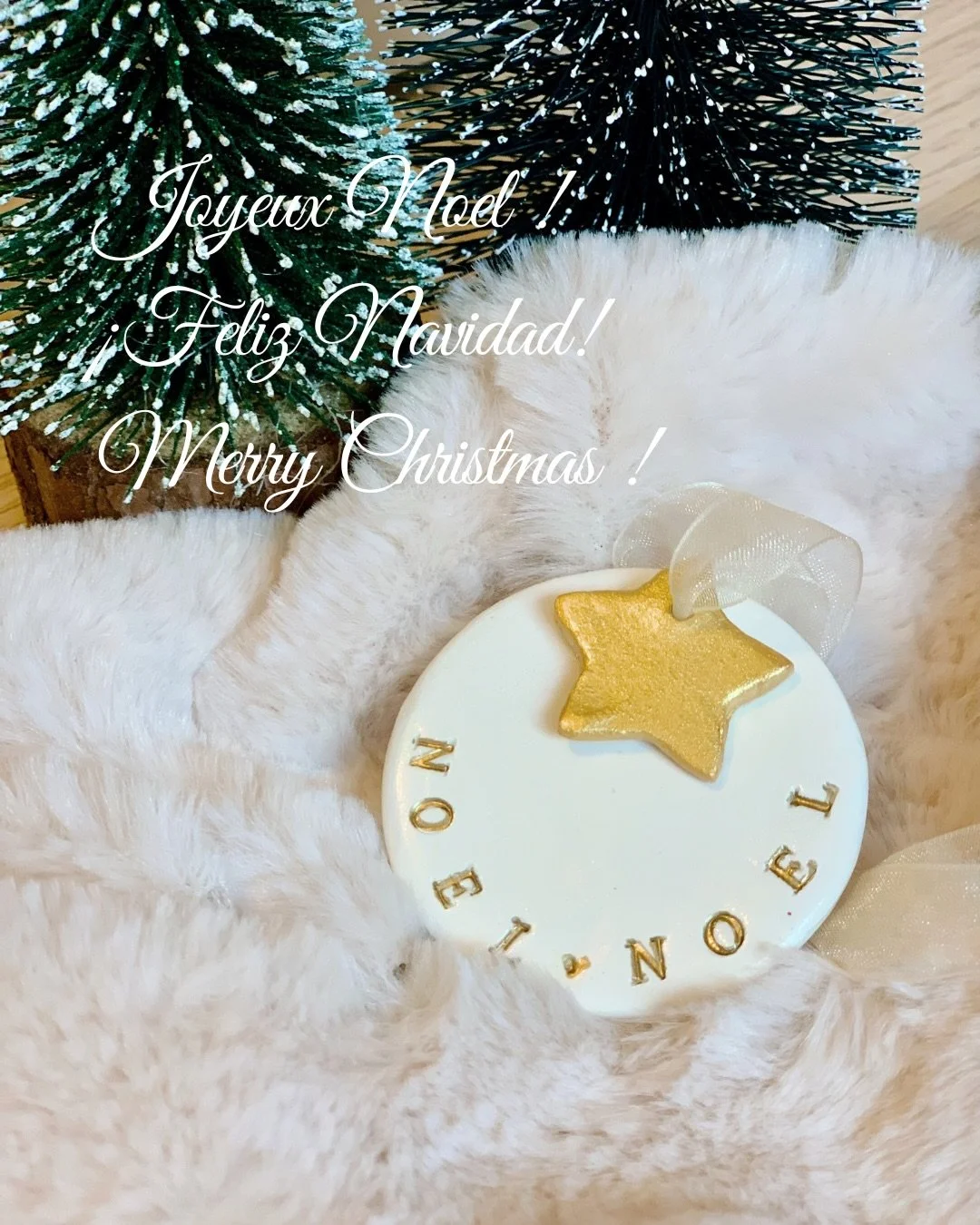 Joyeux No&euml;l &agrave; tous 🎄✨ !

Passez une belle journ&eacute;e entour&eacute;s de vos proches, laissez la magie de No&euml;l illuminer vos c&oelig;urs et savourez chaque instant pr&eacute;sent, si pr&eacute;cieux et important. Profitez de ces 