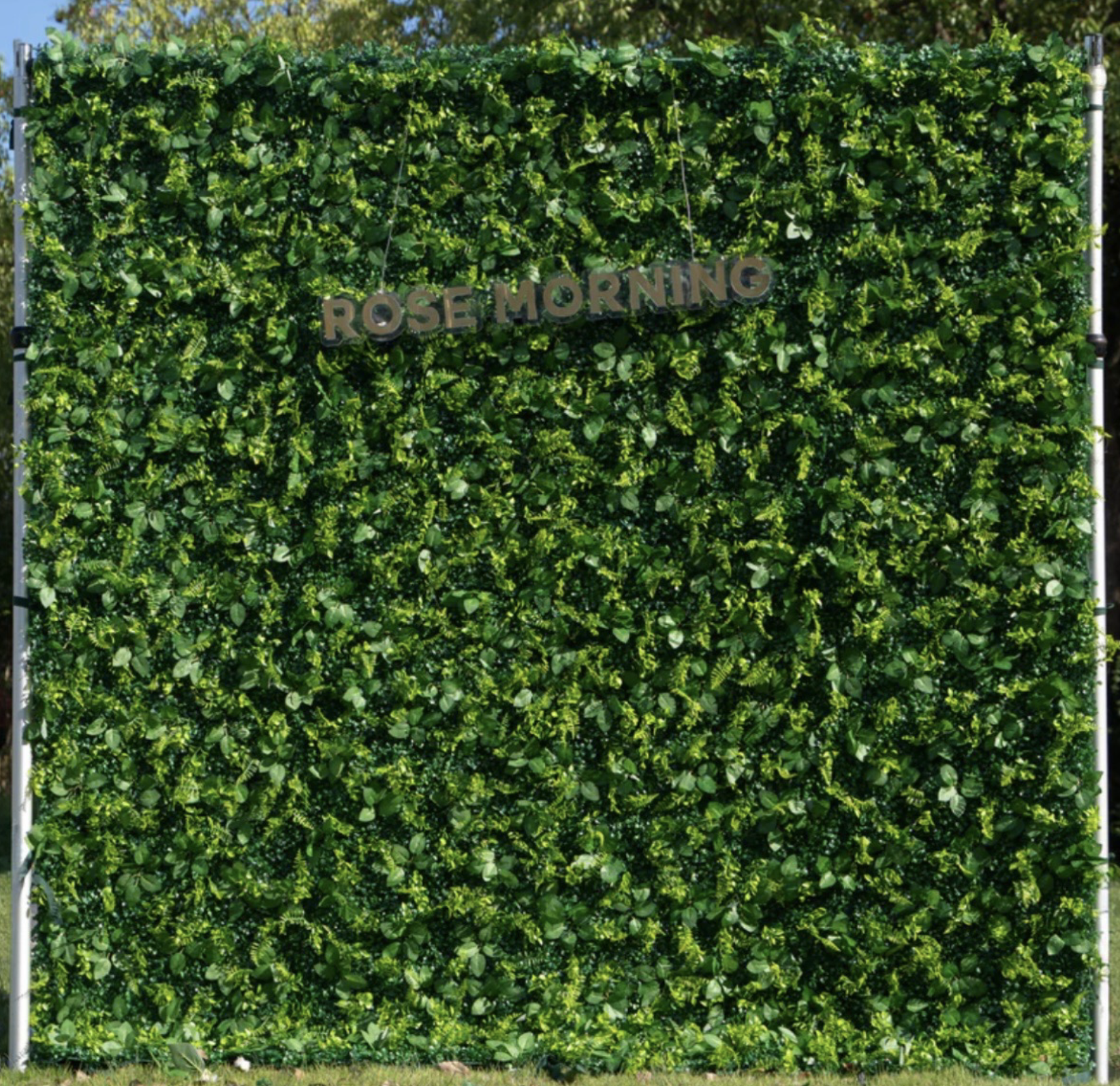 Green leafy wall with a sign that reads 'Rose Morning' hanging in the center.