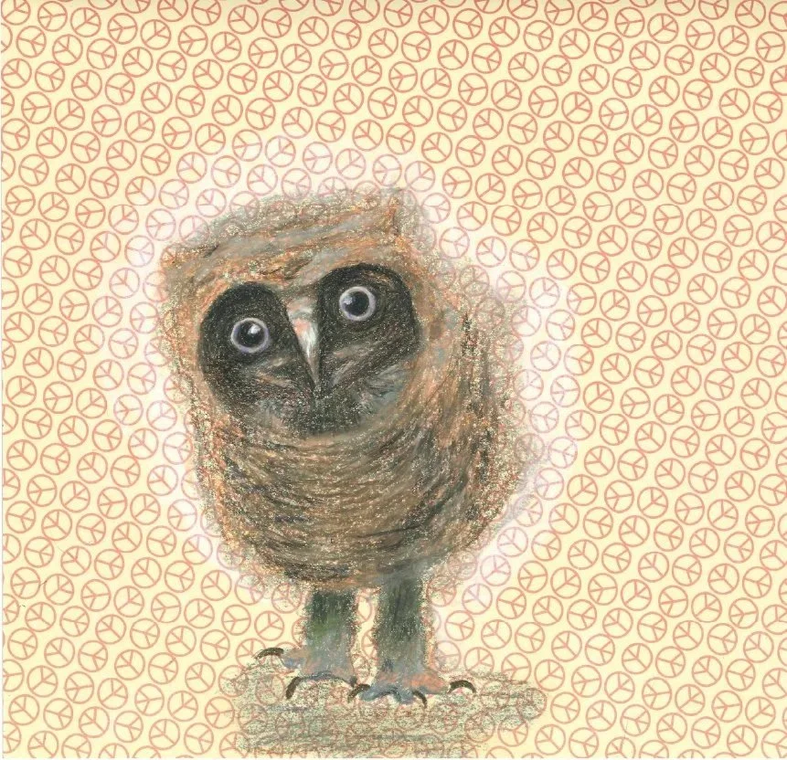 A children’s story - Everything is connected in nature 