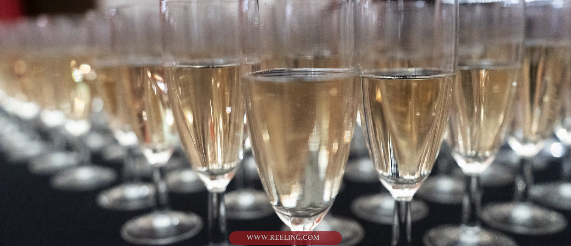 Spring Fling 2025-15.jpg