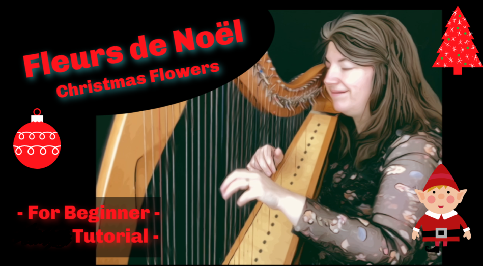 Fleurs de Noël - Bleuniou Nedeleg