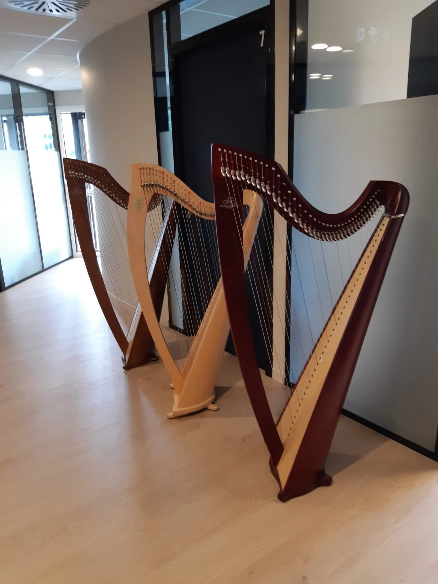 Choisir une Harpe - Partie 1 - la Location