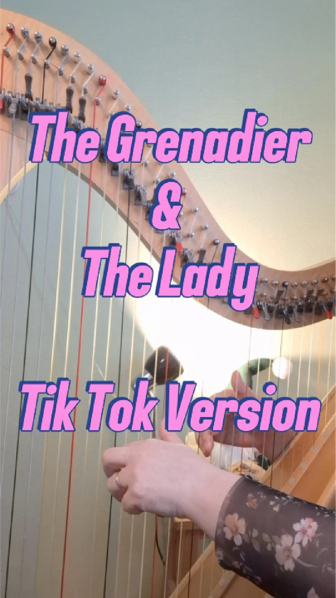 The Lady and the Grenadier - Tik Tok version (UK)