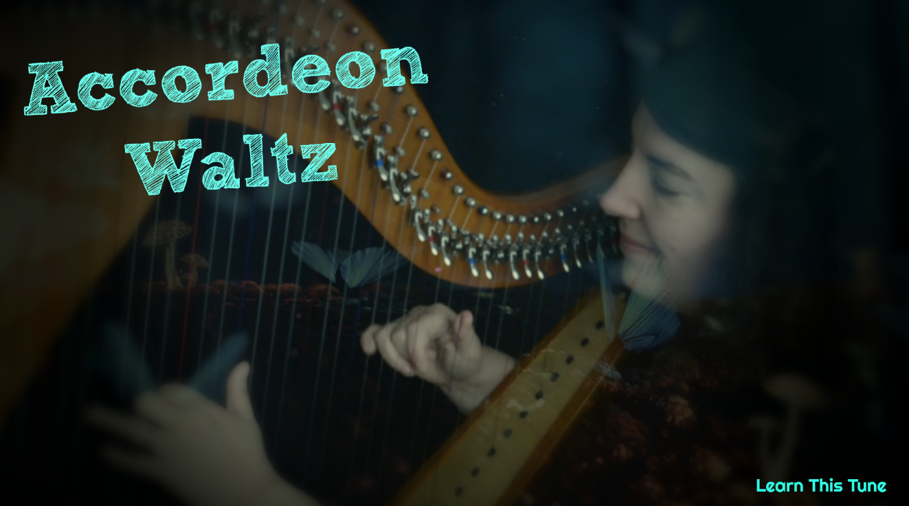 Accordeon Waltz