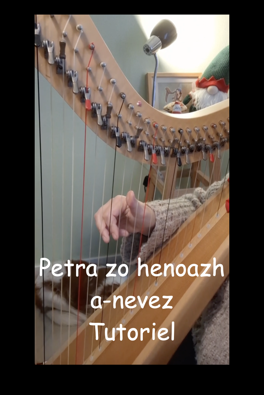 Petra zo henoazh a nevez (Breton)