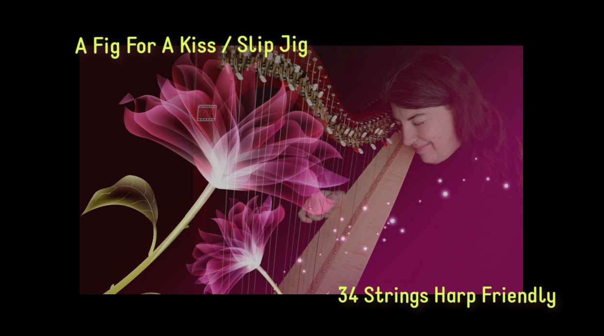 Fig For A Kiss - Slip Jig (Ireland)