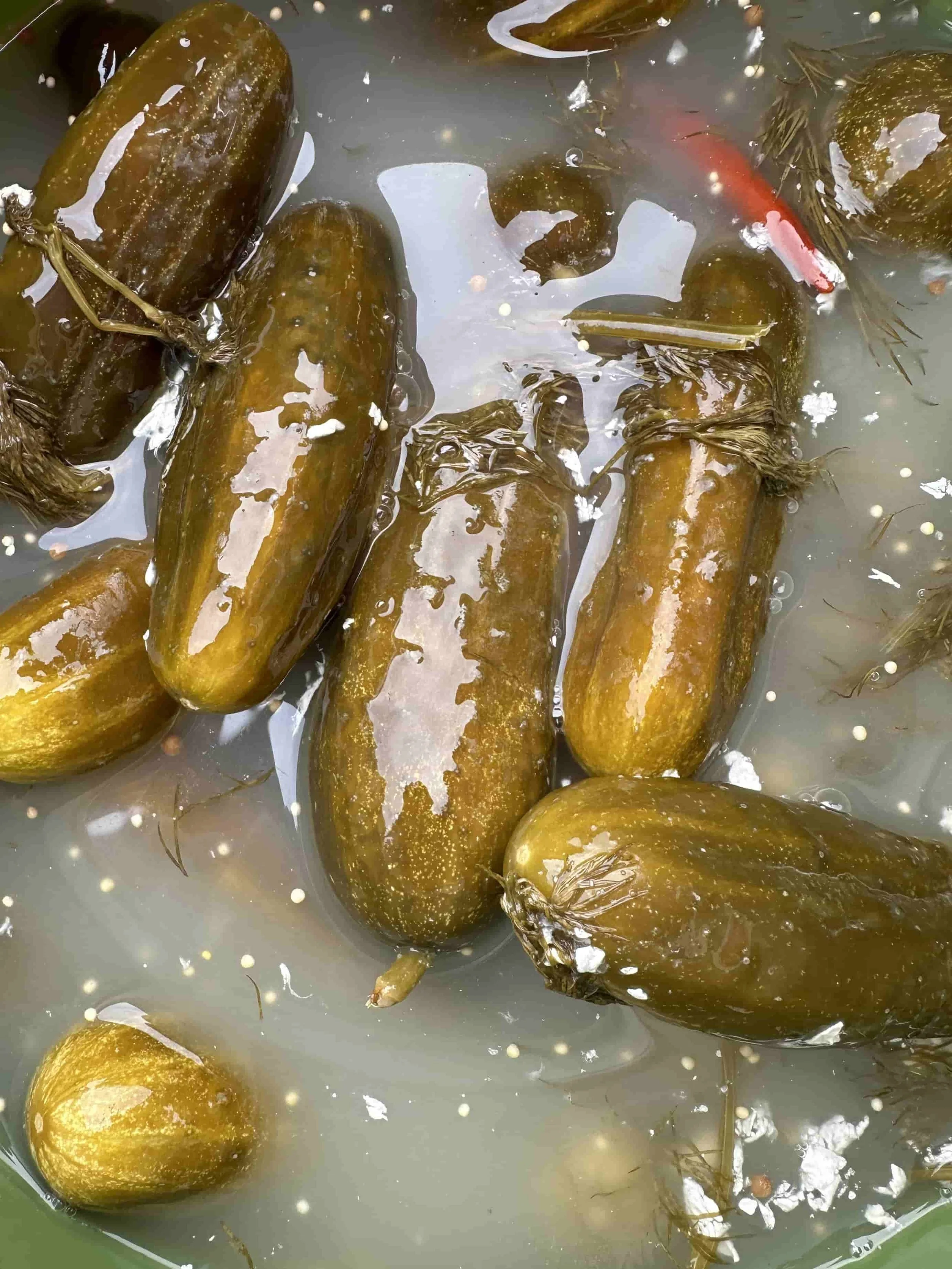 A Pickle Story | Rhinebeck, NY | Delicious Pickles Made for You