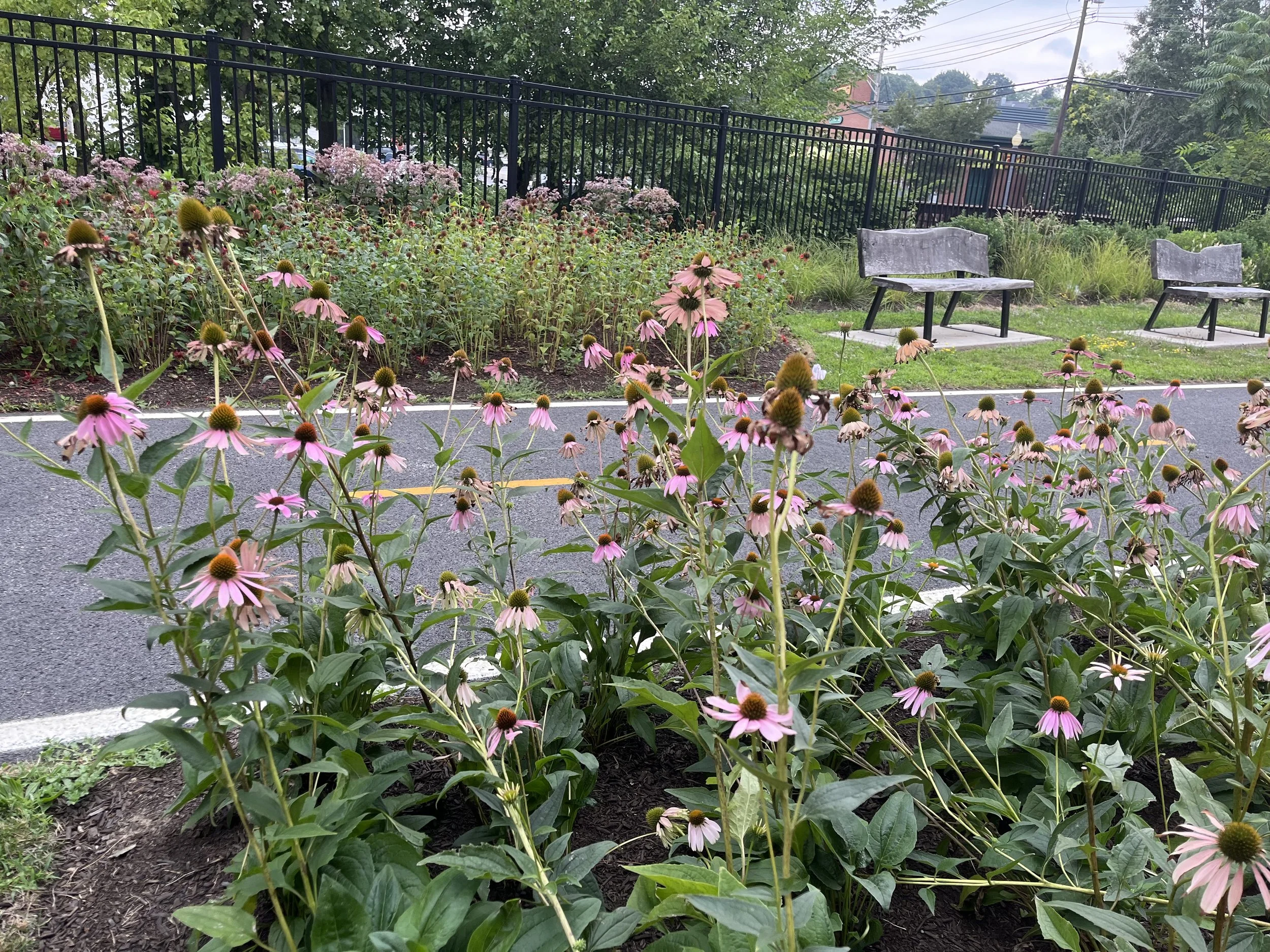 GOTHAM GREEN GREENWAY