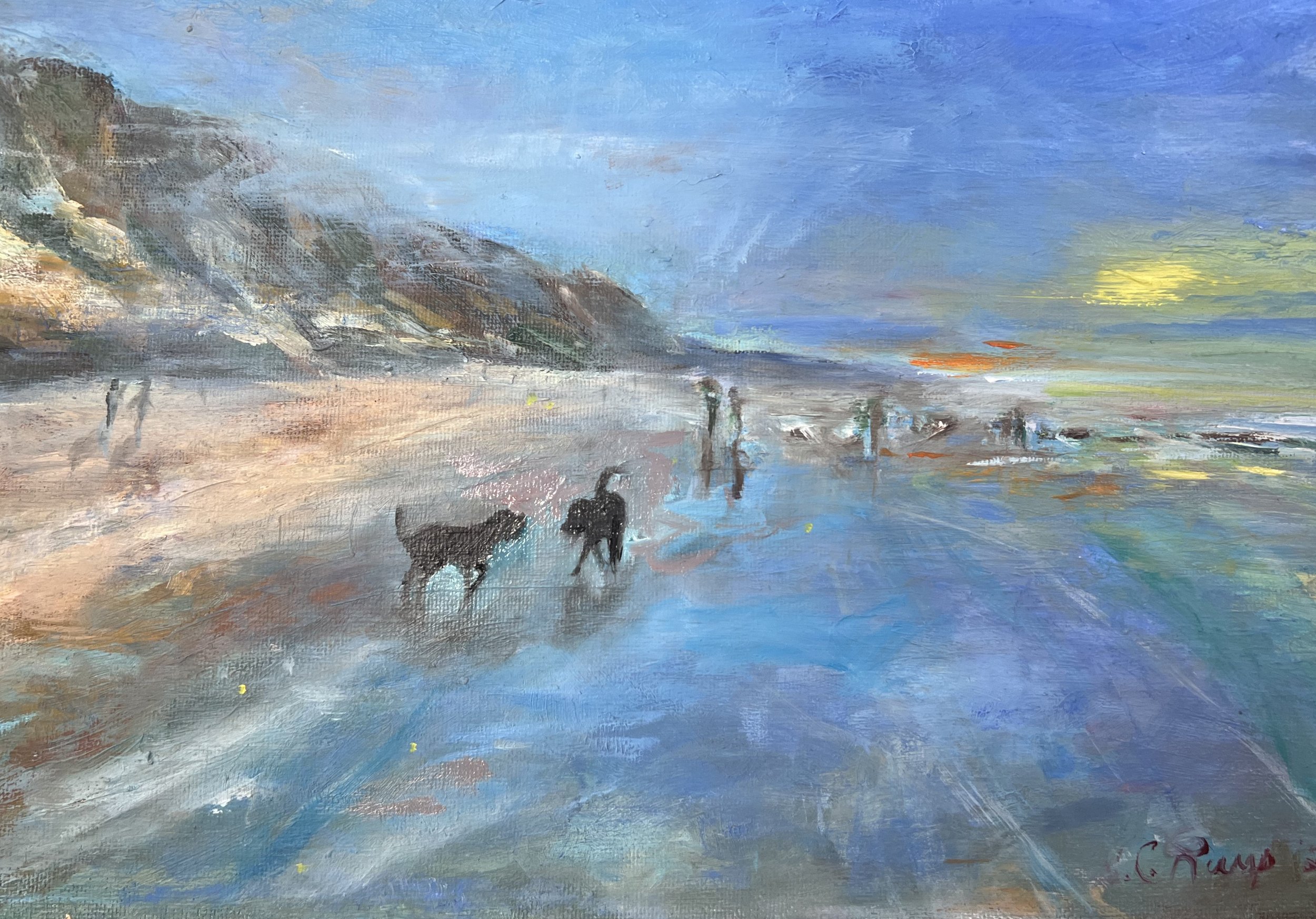 Del Mar Dog Beach.jpeg