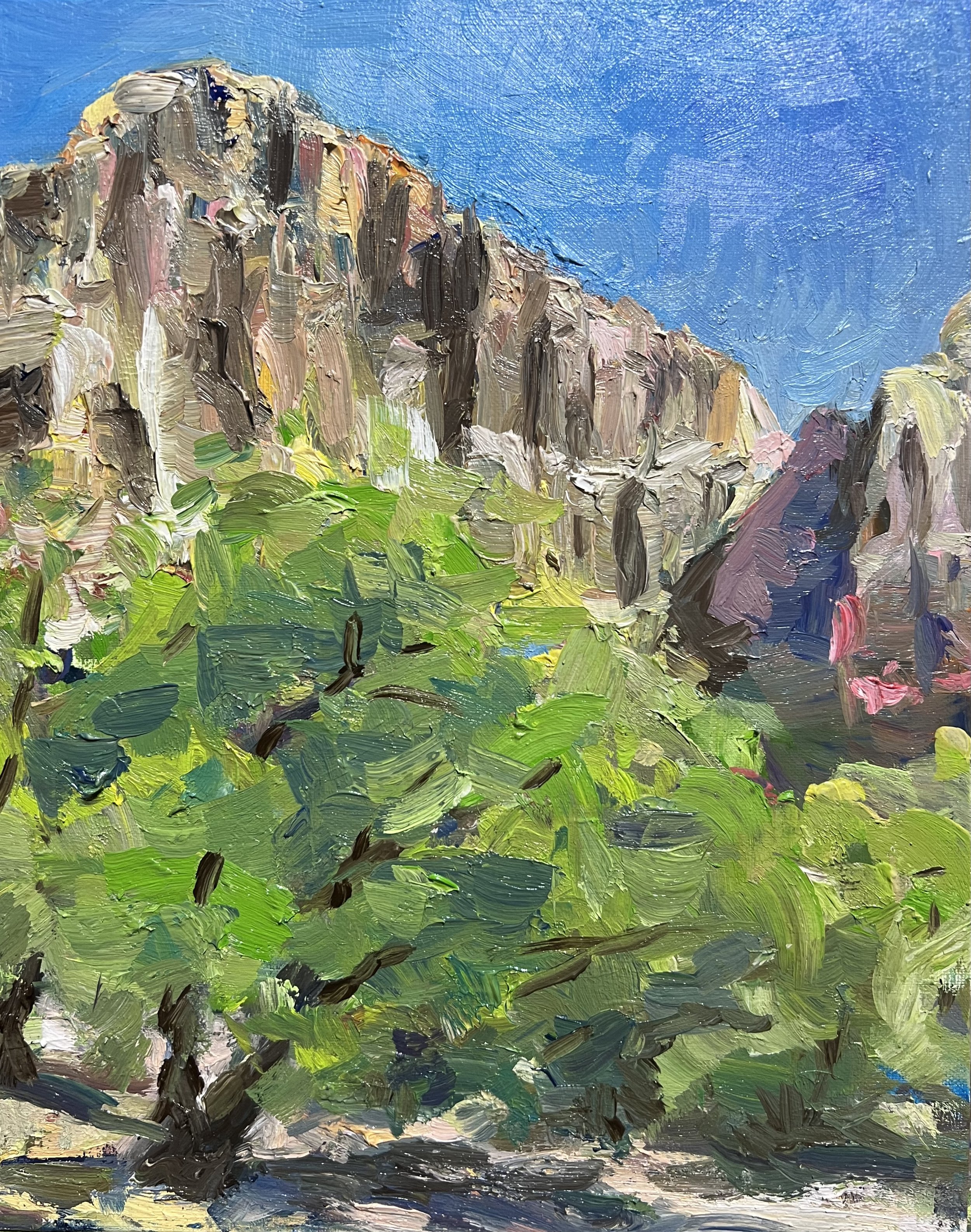Cottonwood in Zion.jpeg