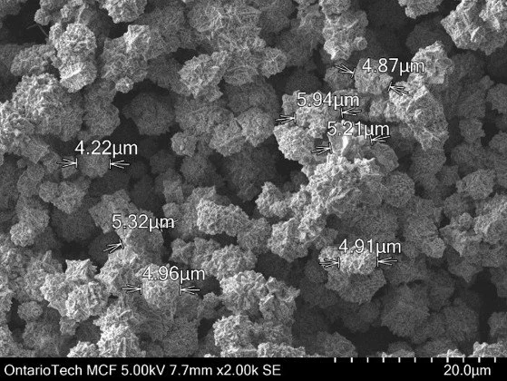 Scanning electron microscope image showing scattered particles with measurements in micrometers, indicating particle sizes and morphology.