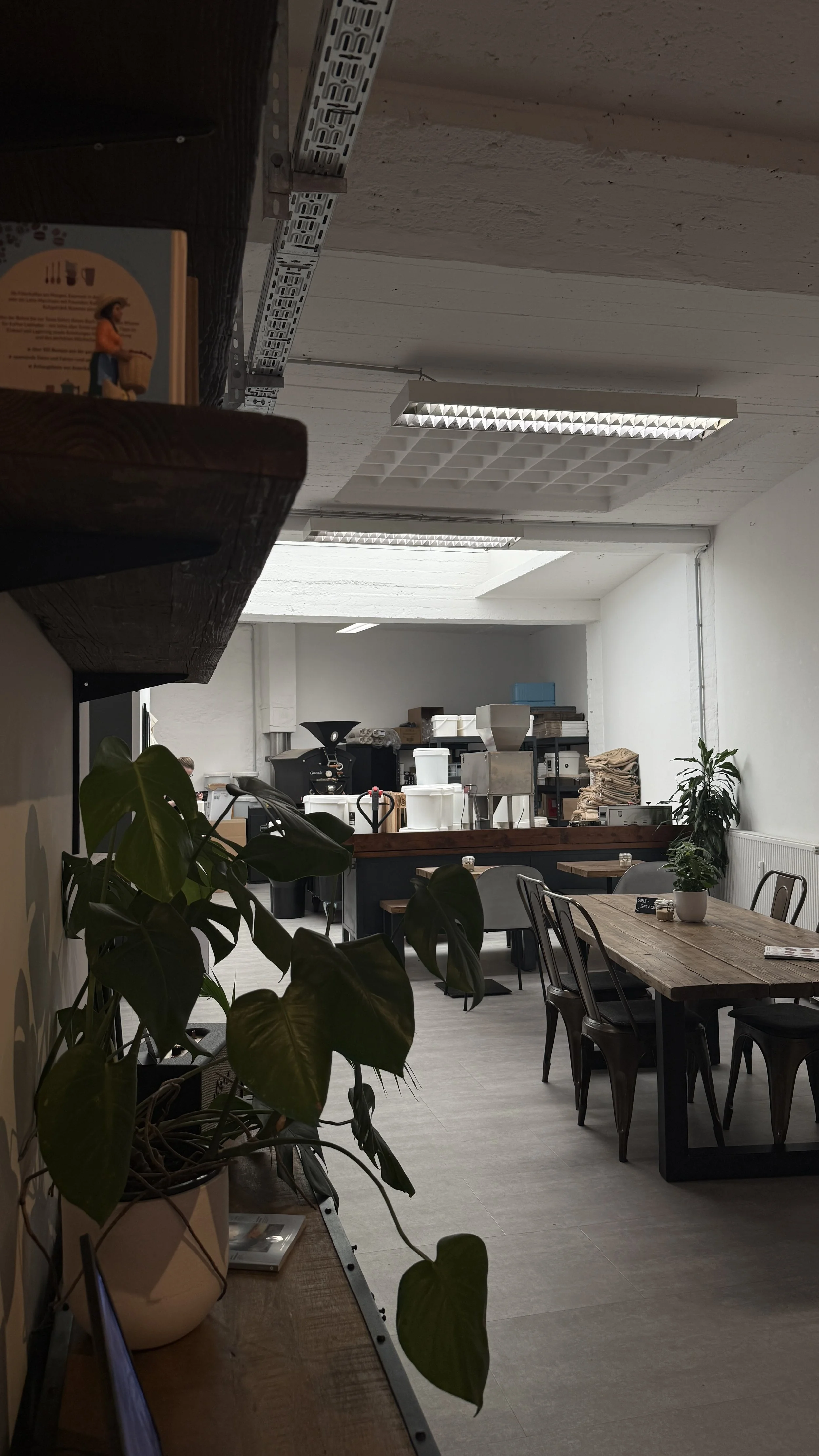 Best Specialty Coffee Roasters in Düsseldorf (2026)