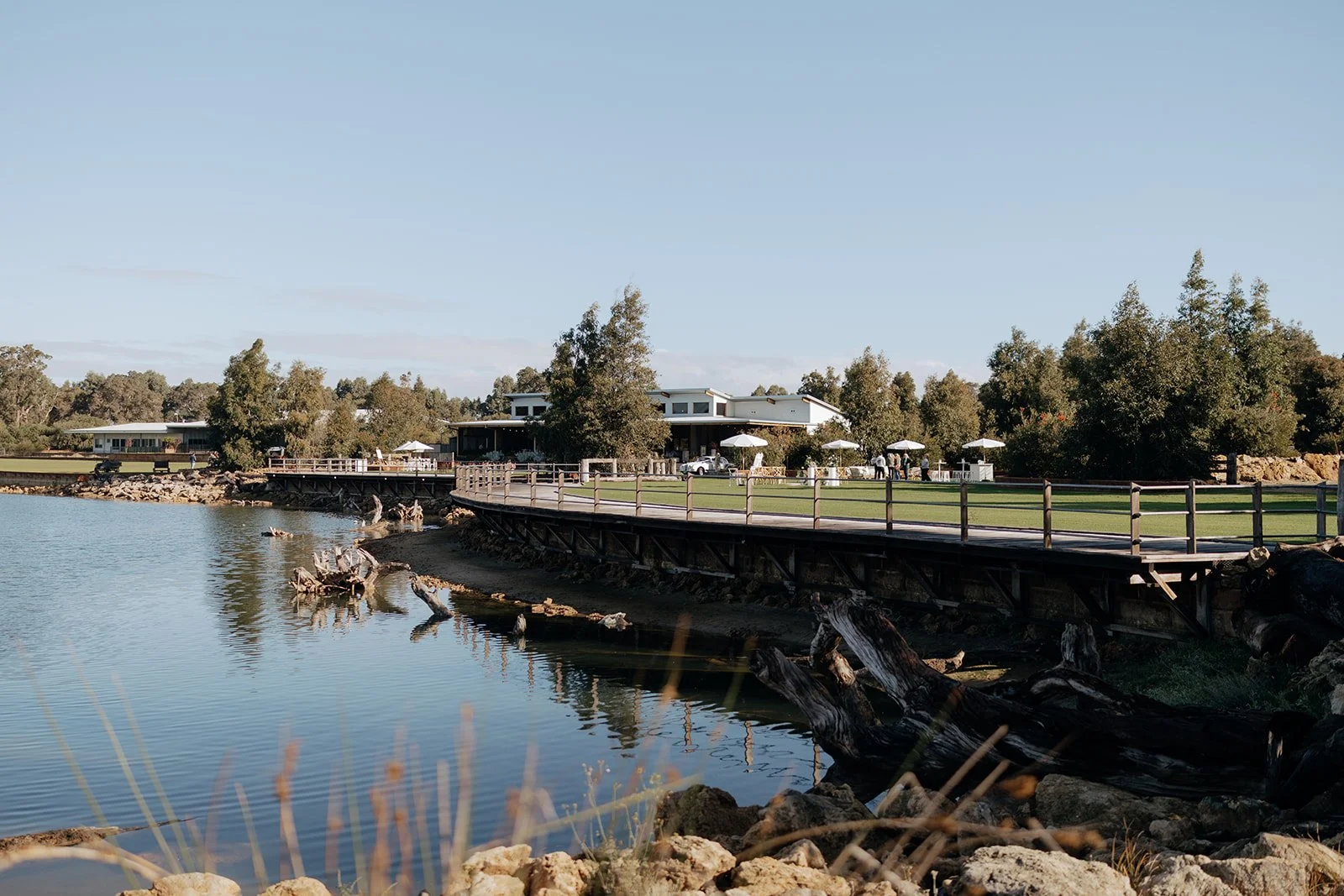 A waterfront scene featuring a building with outdoor seating and umbrellas, a grassy lawn, trees, and a calm body of water with logs and rocks along the shoreline.