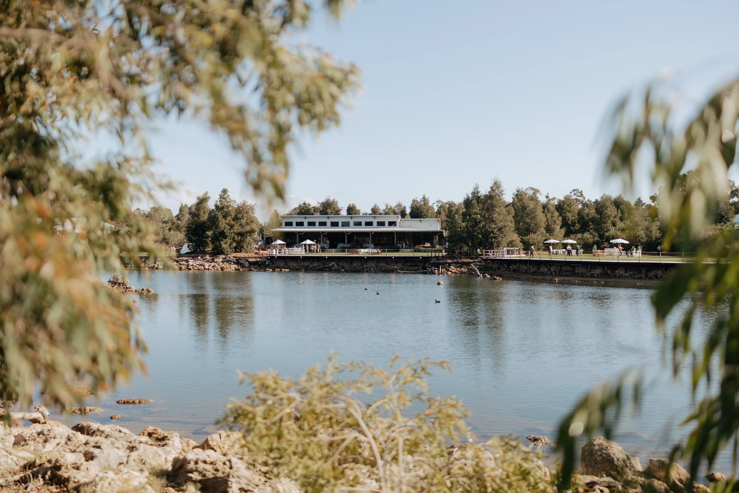 A lakeside restaurant with outdoor seating, trees surrounding the area, ducks swimming in the water, and a clear blue sky.
