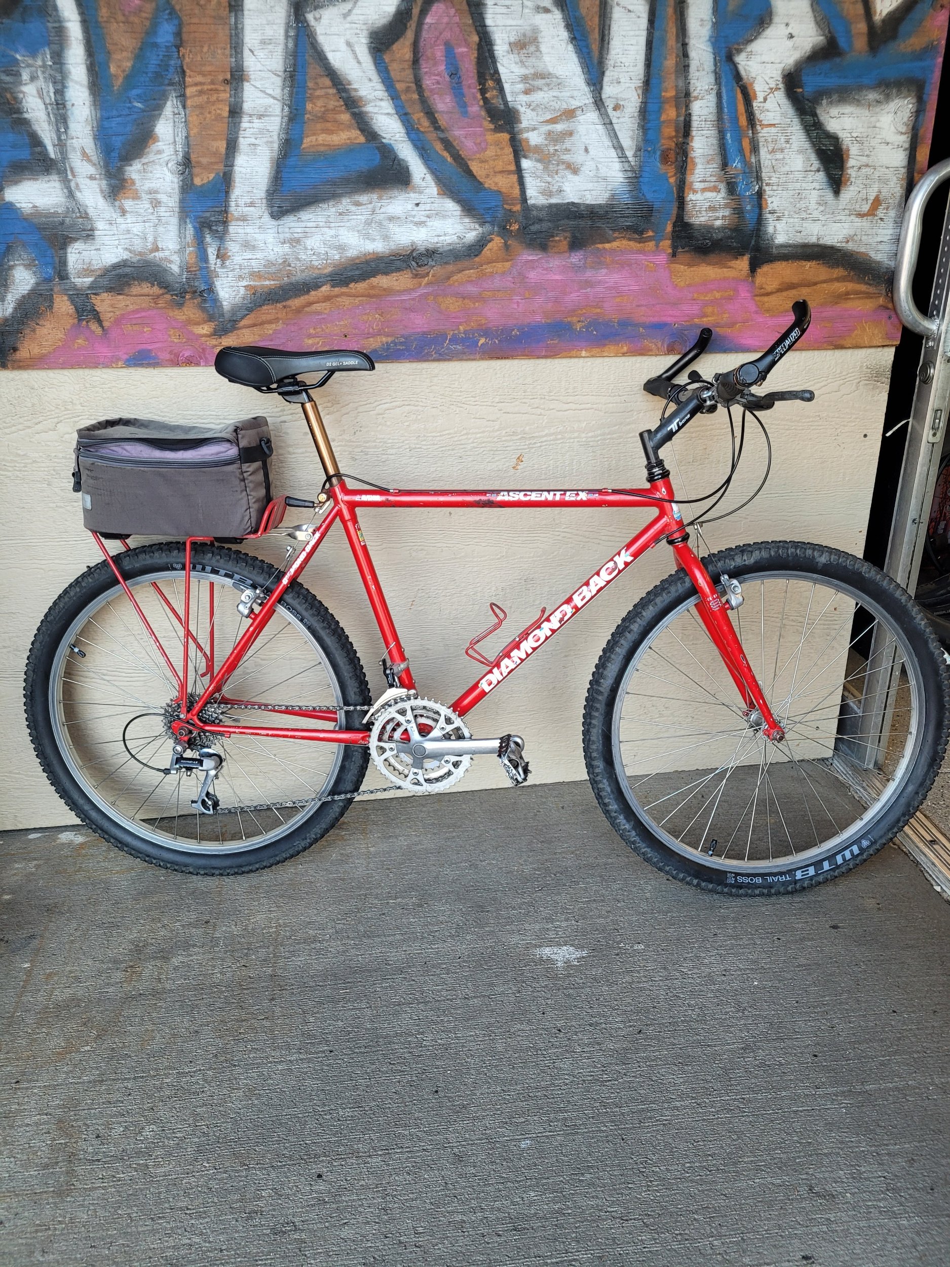 Diamondback Ascent EX 19.5" - $250