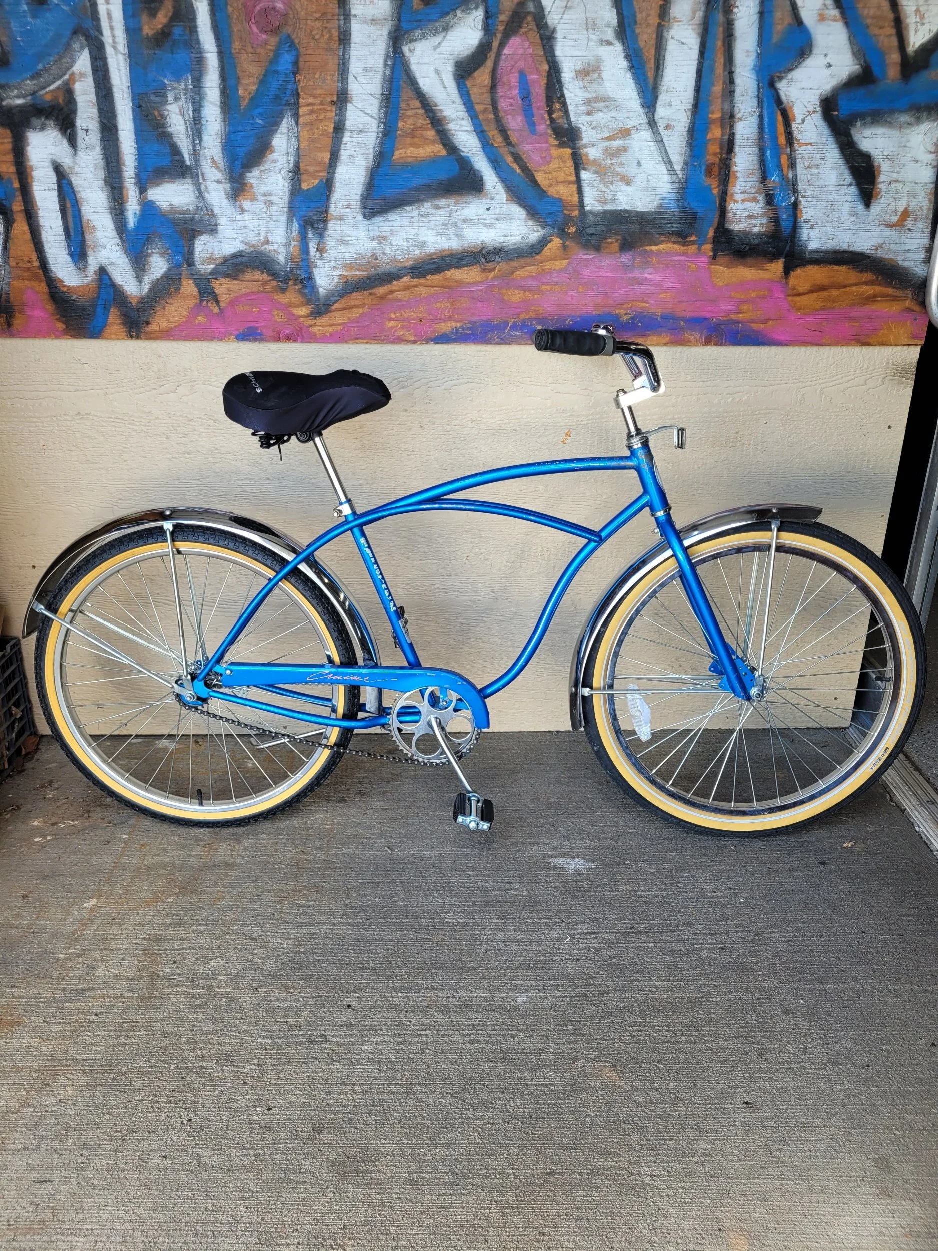 Schwinn Cruiser 19" - $200