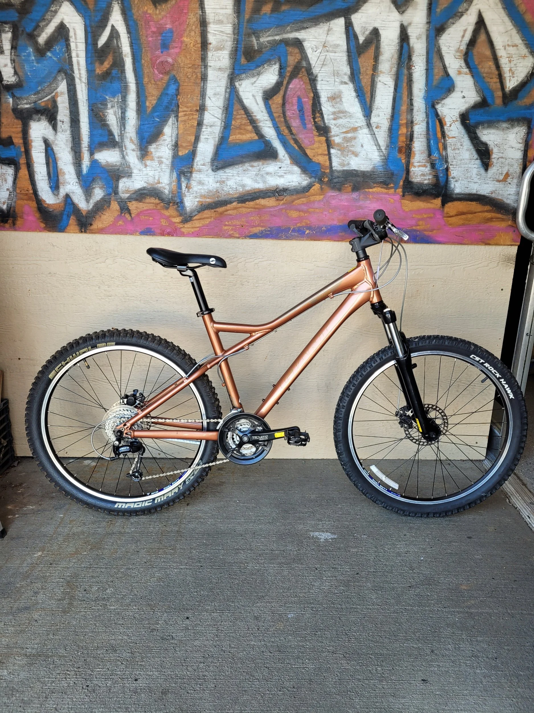 Giant Yukon 19" - $300