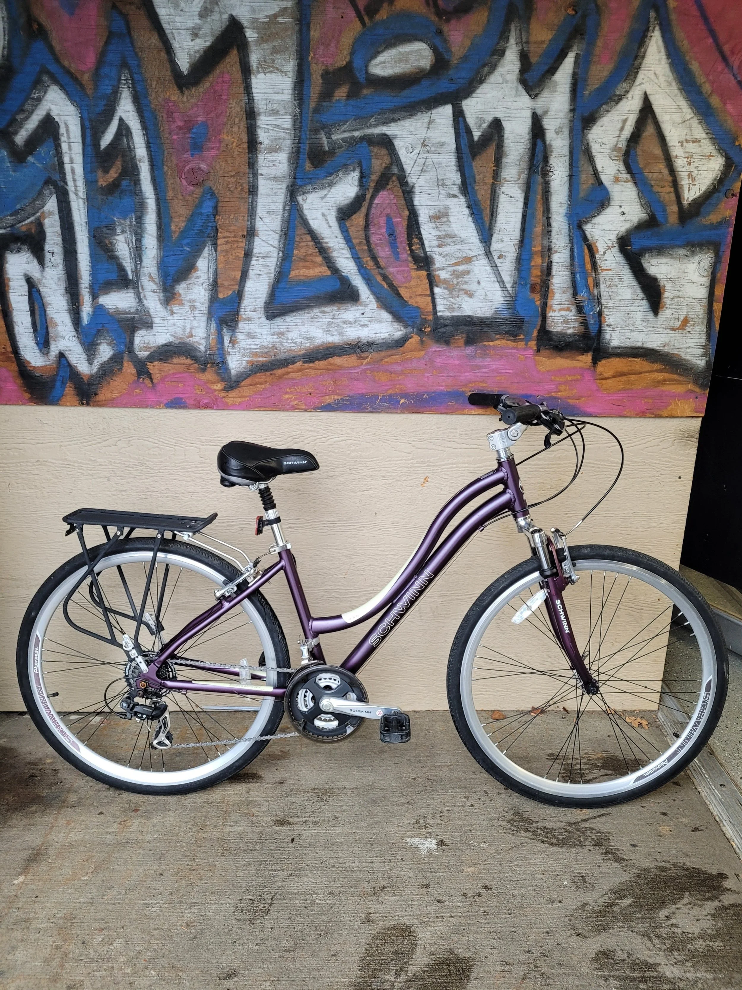 Schwinn Trailway 16.5" - $200