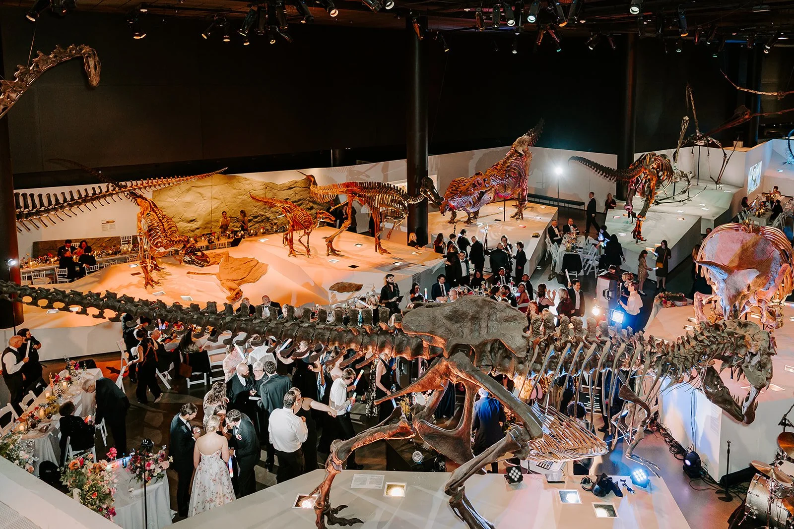 Nickell- Lancarte 2.12.24 (18).jpg