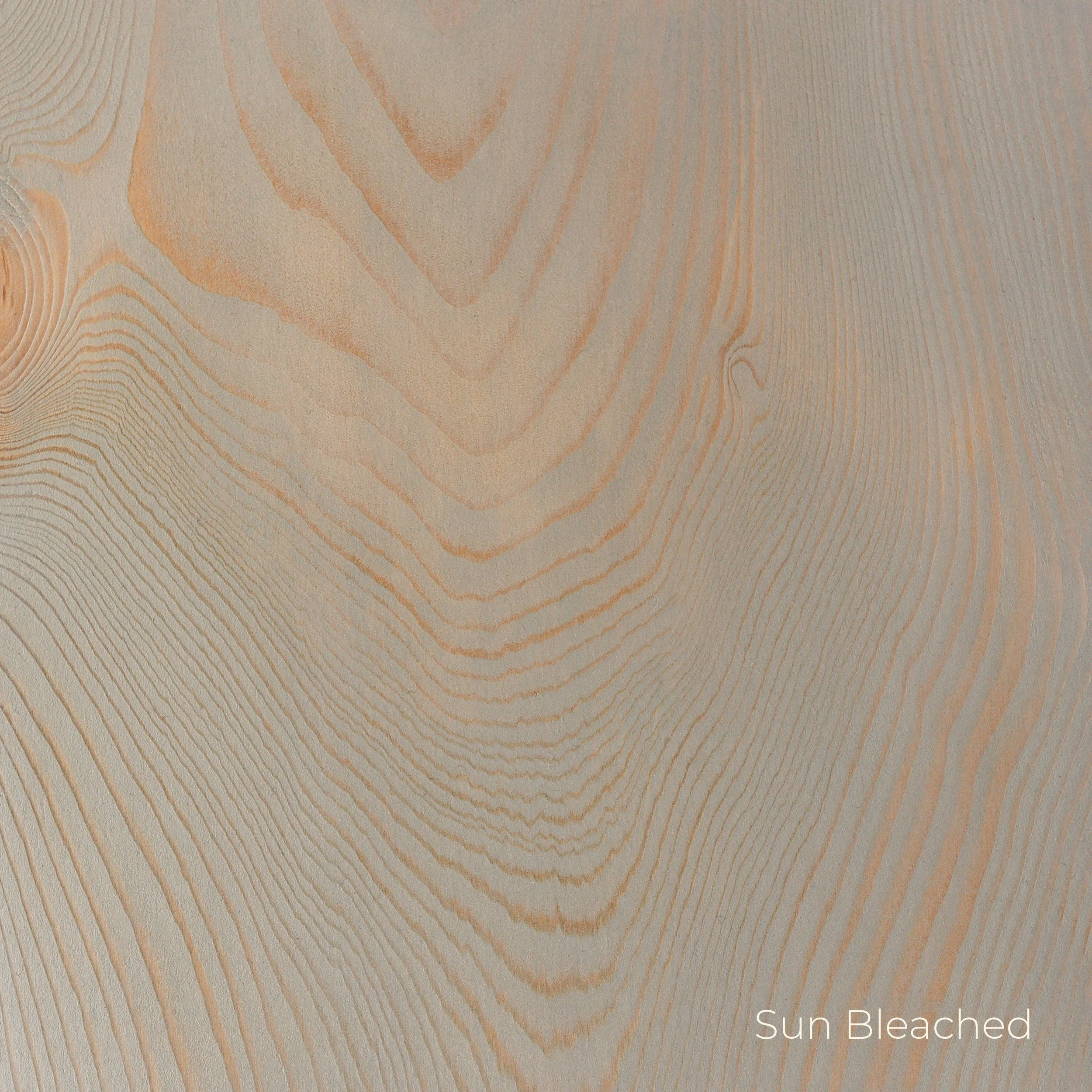 Sun Bleached.jpg