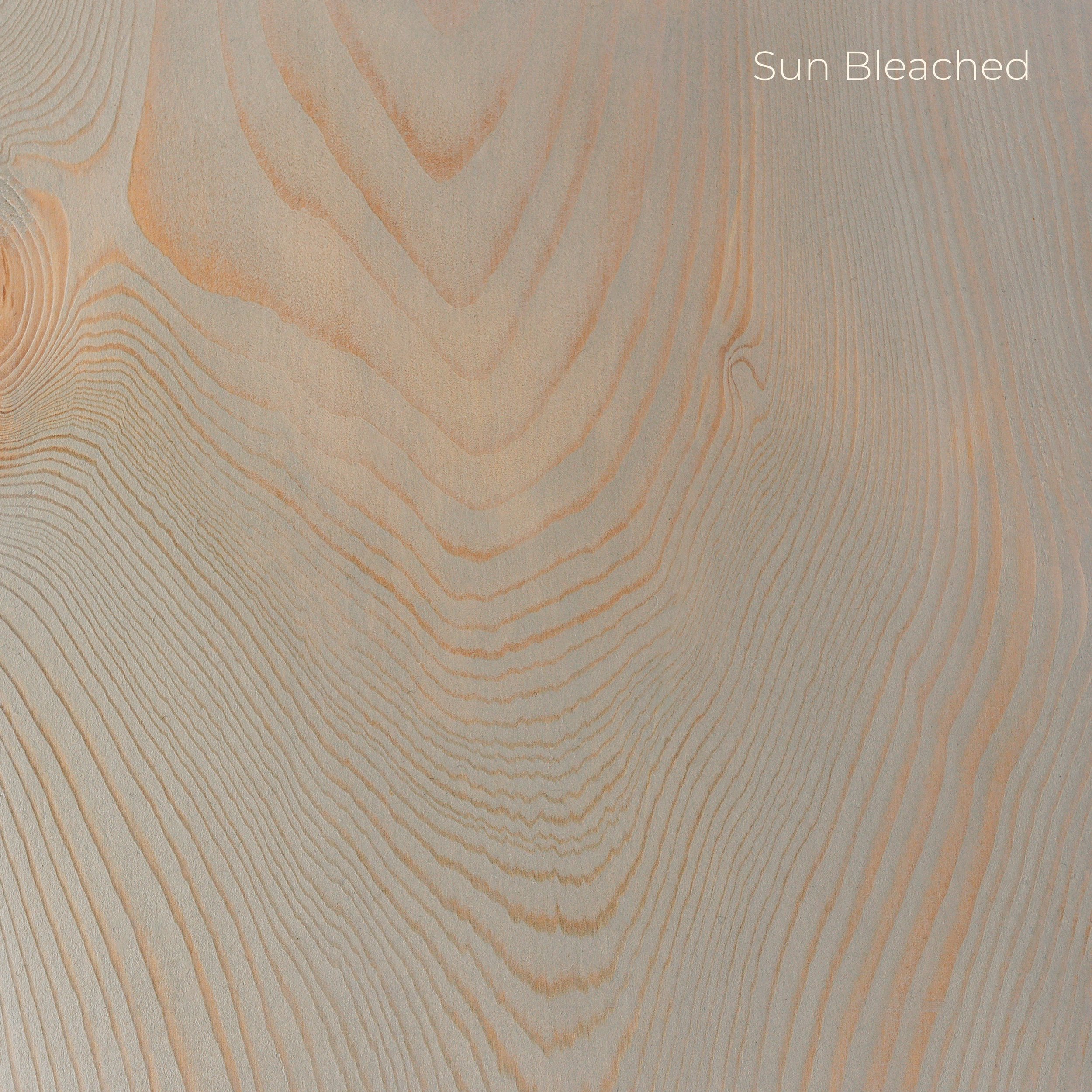 Sun Bleached copy.jpg