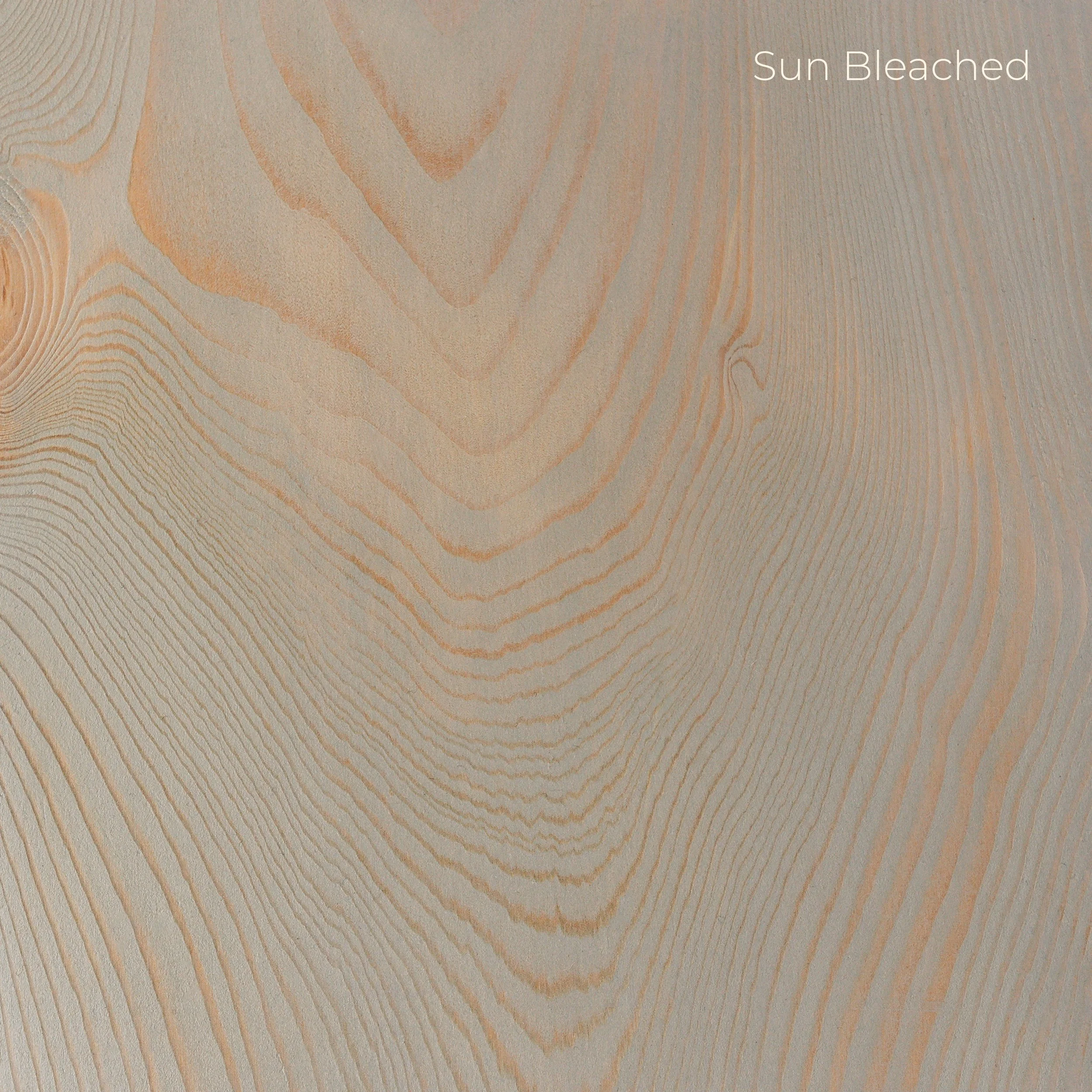Sun Bleached copy.jpg