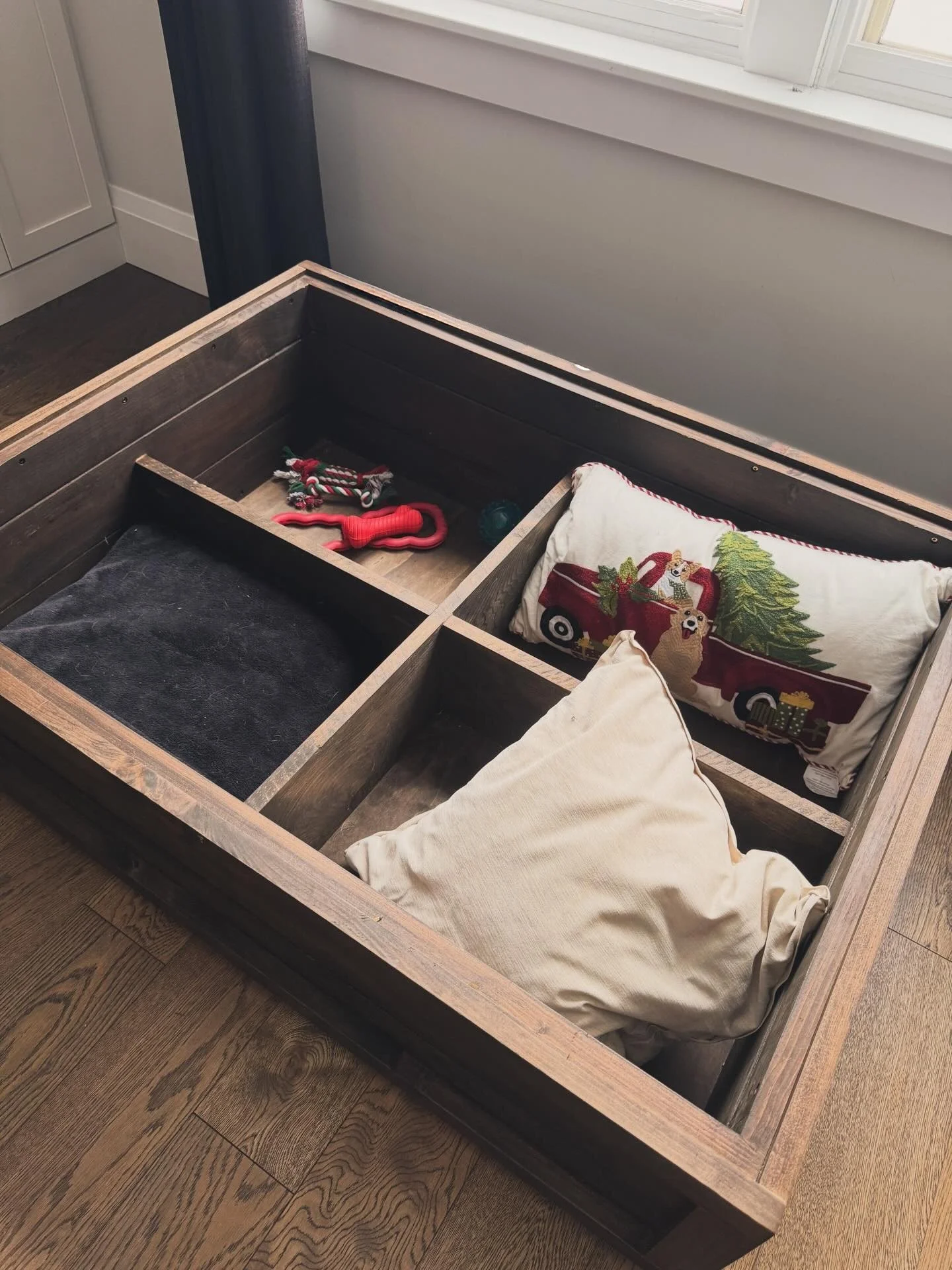 open cassidy - Edited.jpg