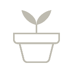 Line drawing of a potted plant with two small leaves.
