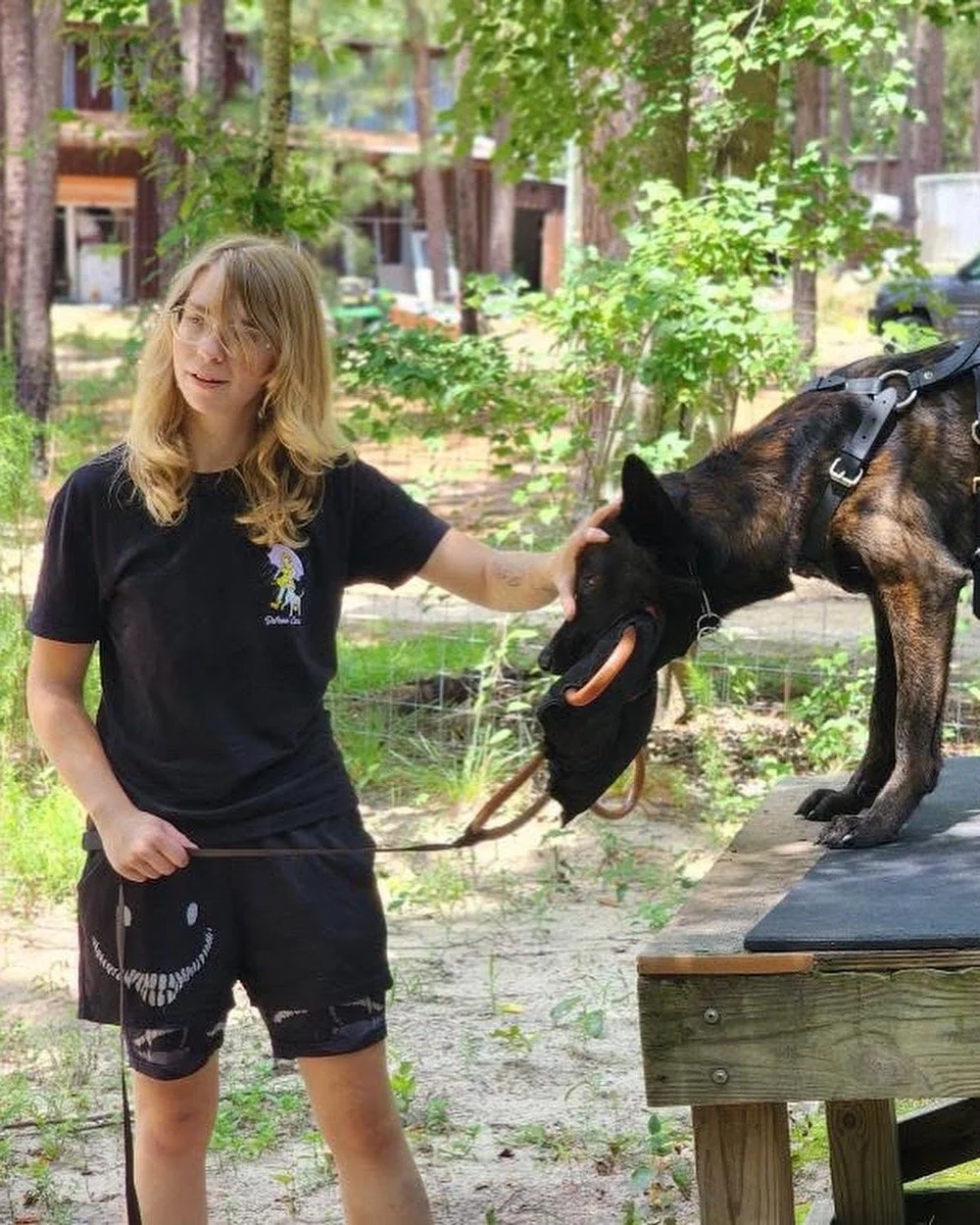 Protection Evaluation for a Dutch Shepherd, Blaze Parker is Decoying and Training the dog to bite.
