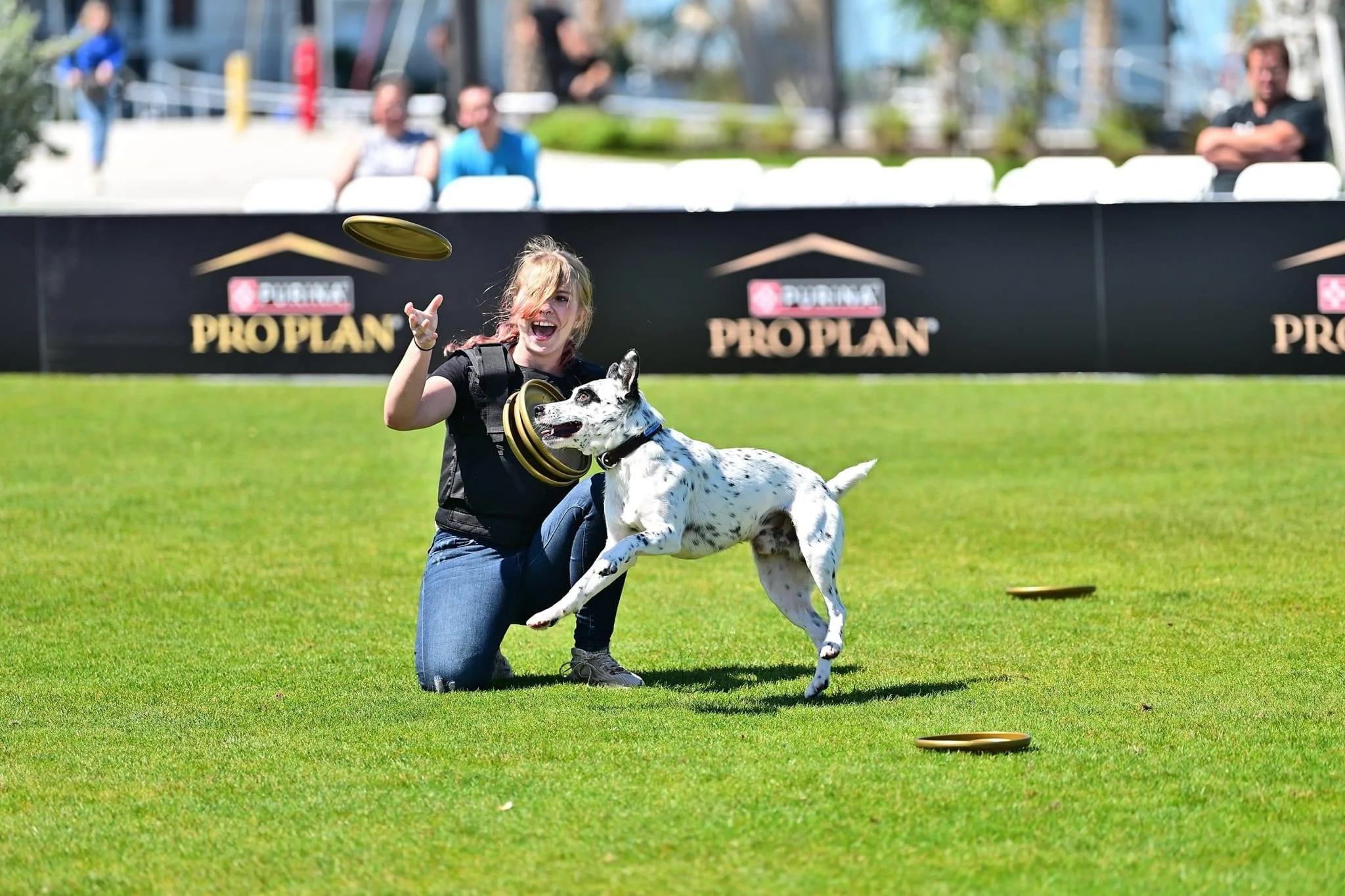 Competitive Disc Dog is Performing at a National event, Purina Pro Plan's Incredible Dog Challenge in Freestyle Flying Disc. The dog is mid air, about to catch the frisbee and Head Trainer Blaze is happy.