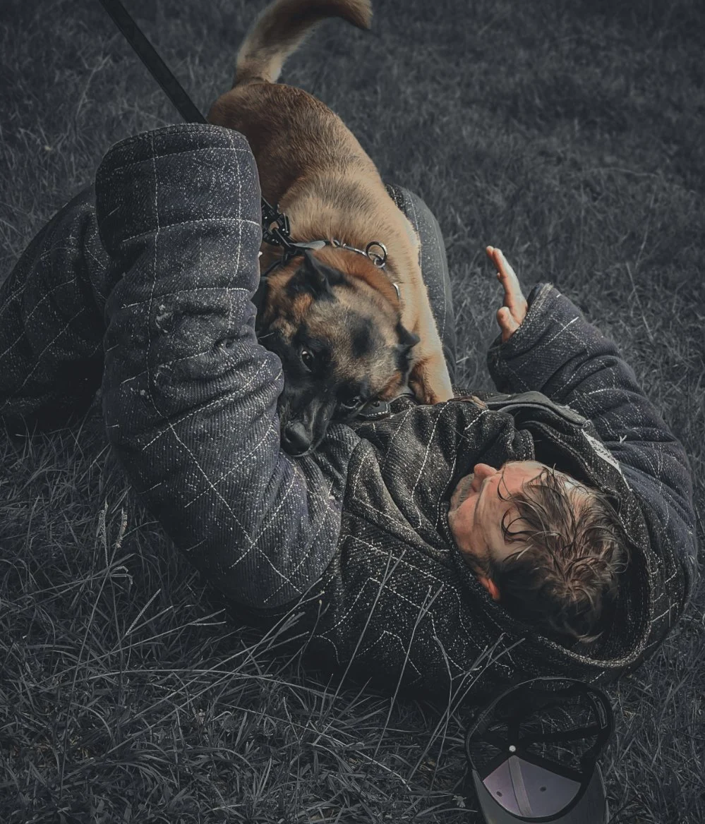 A person lying on the ground in a hoodie, playfully wrestling with a large dog on grassy terrain.