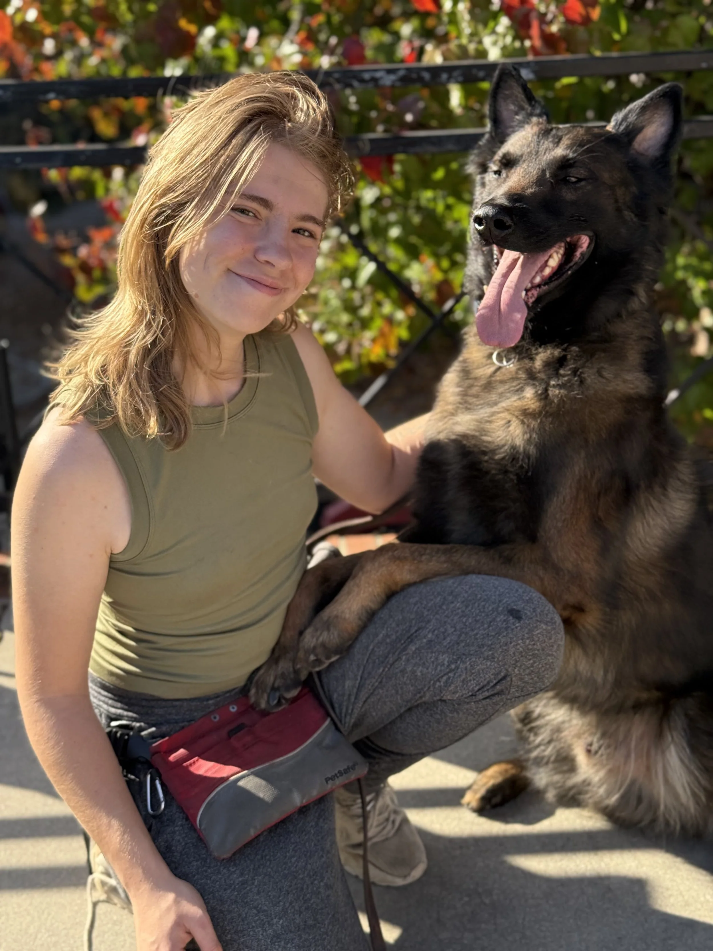 Expert Dog Trainer Blaze Parker kneeling beside a large, fluffy Belgian Malinois dog with black and tan fur, both outside near a black metal fence and colorful bushes.