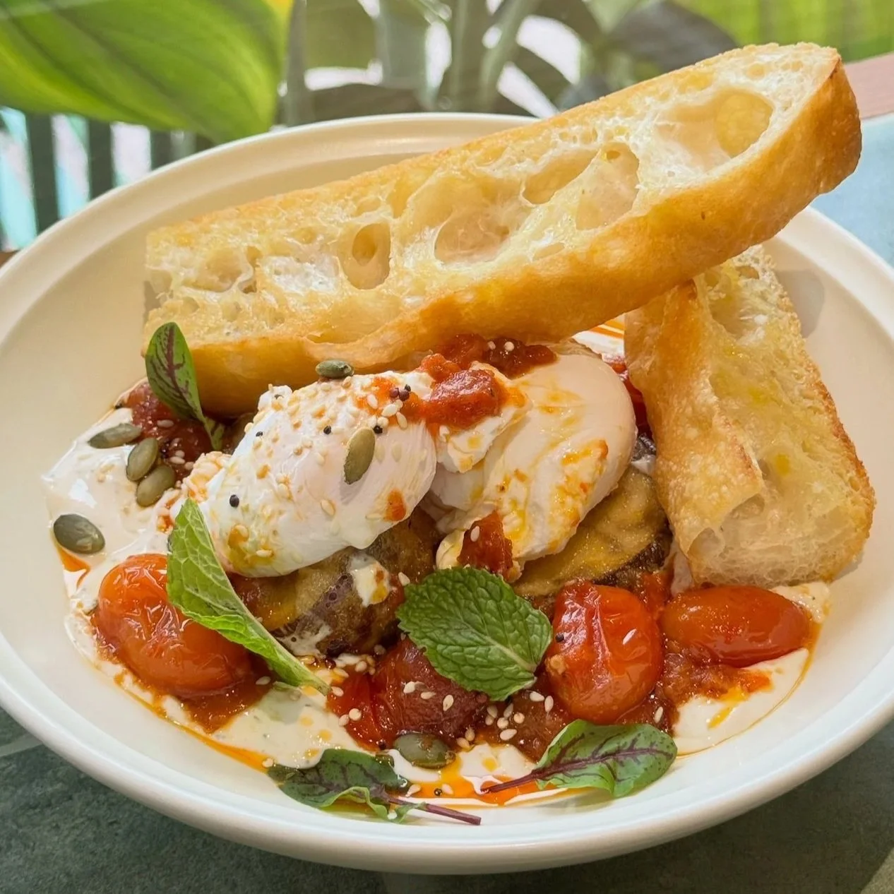 A bowl of breakfast featuring cherry tomatoes, poached eggs, toast, greens, and seeds, garnished with herbs.