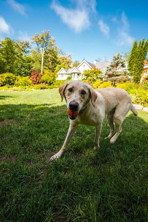 Chuck'sBackyardJune2025-9.jpg