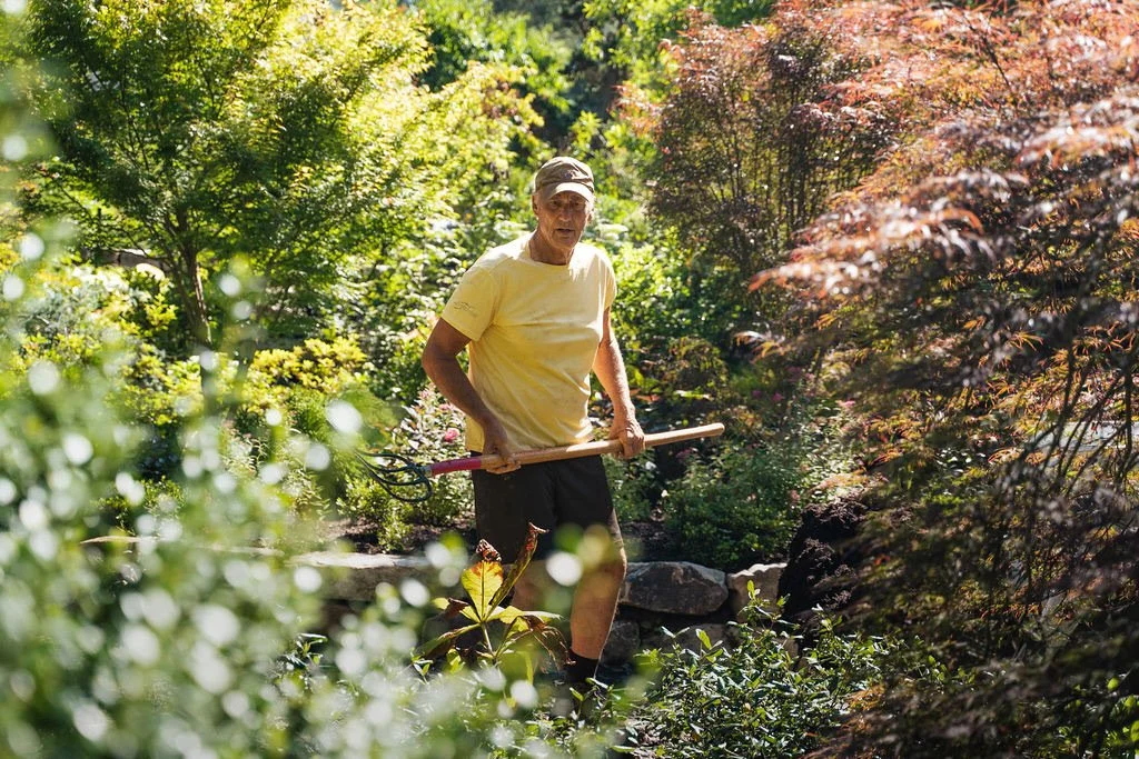 An elderly man wearing a yellow t-shirt, hat, and black shorts holding gardening tools while walking through a lush, green garden.