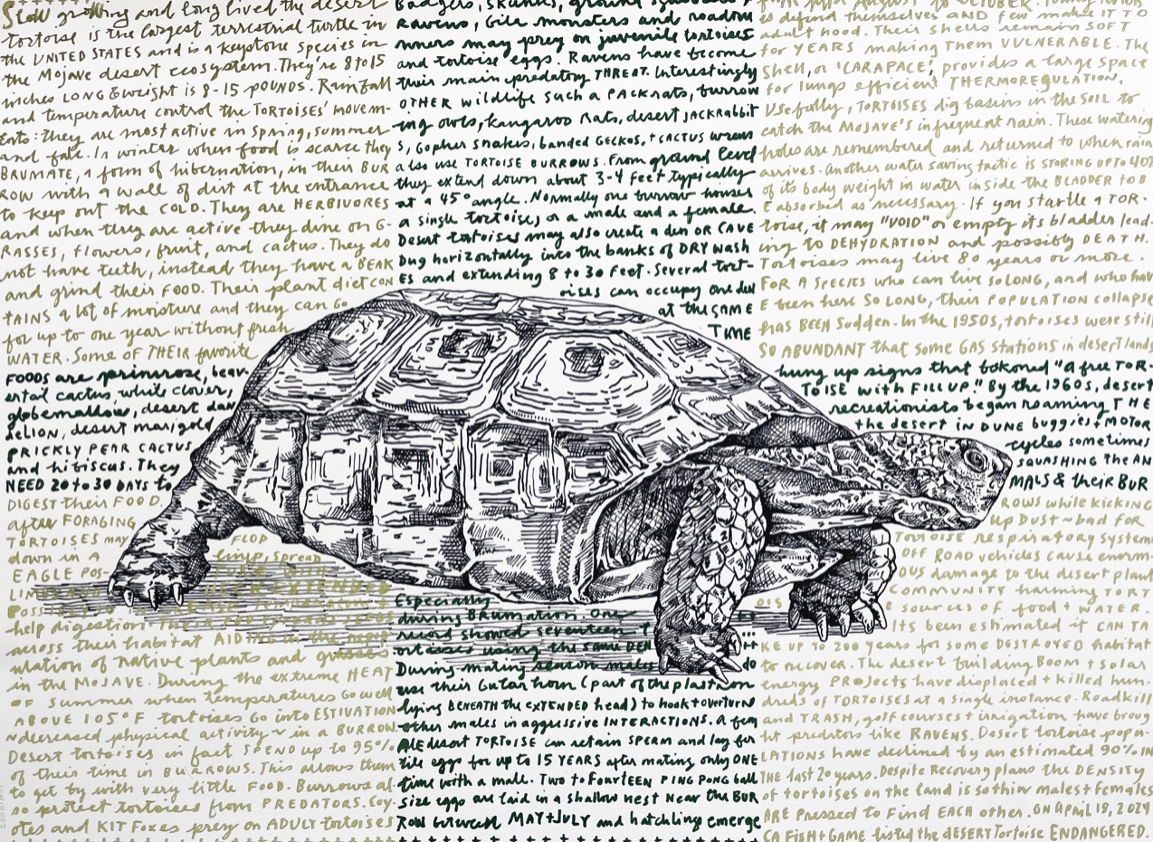 Screen Shot 2024-05-22 at 6.18.47 PM.png