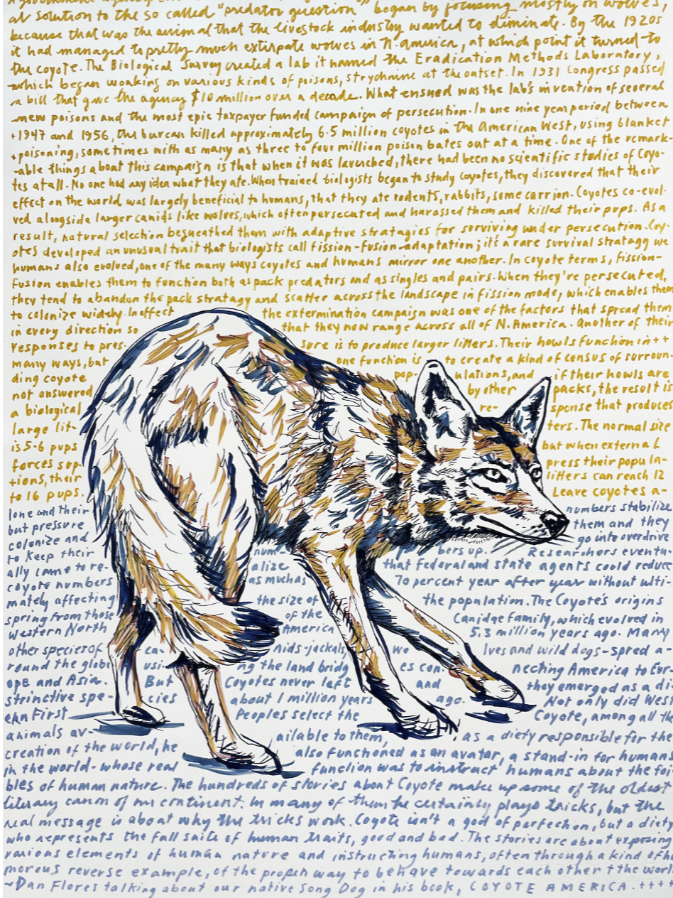 Screen Shot 2024-05-22 at 6.18.40 PM.png