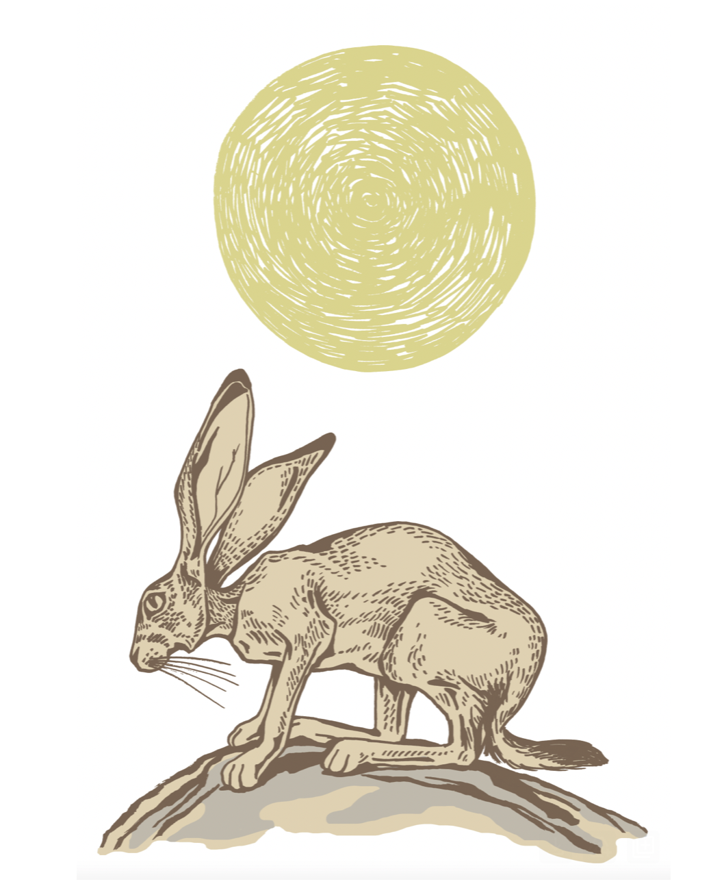 Screen Shot 2024-05-21 at 3.51.07 PM.png