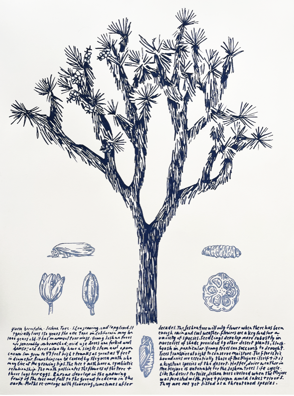 Screen Shot 2024-05-22 at 6.19.00 PM.png