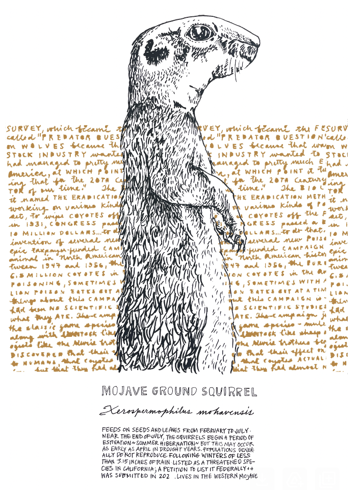 Screen Shot 2024-05-22 at 6.19.41 PM.png