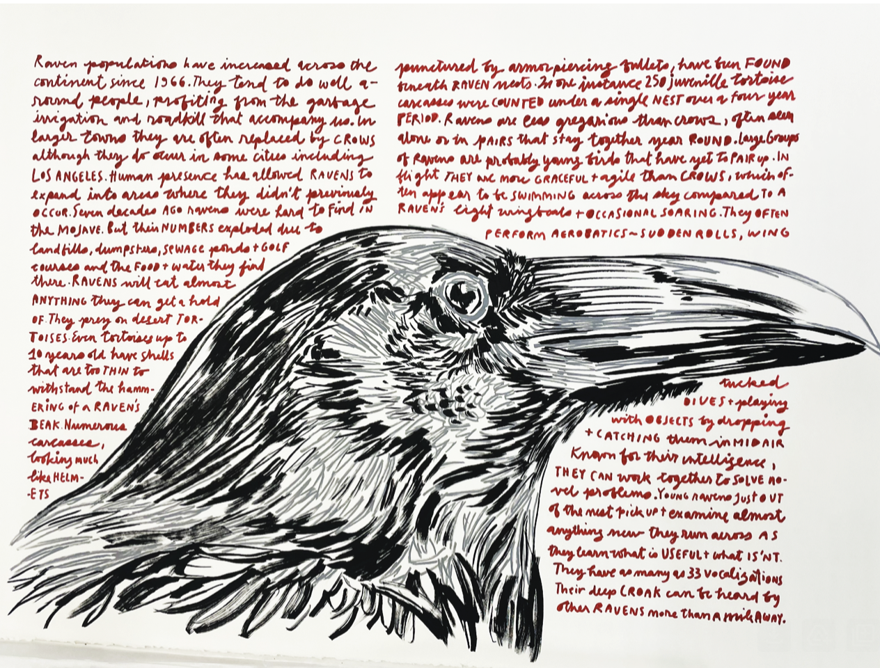 Screen Shot 2024-05-22 at 6.18.53 PM.png