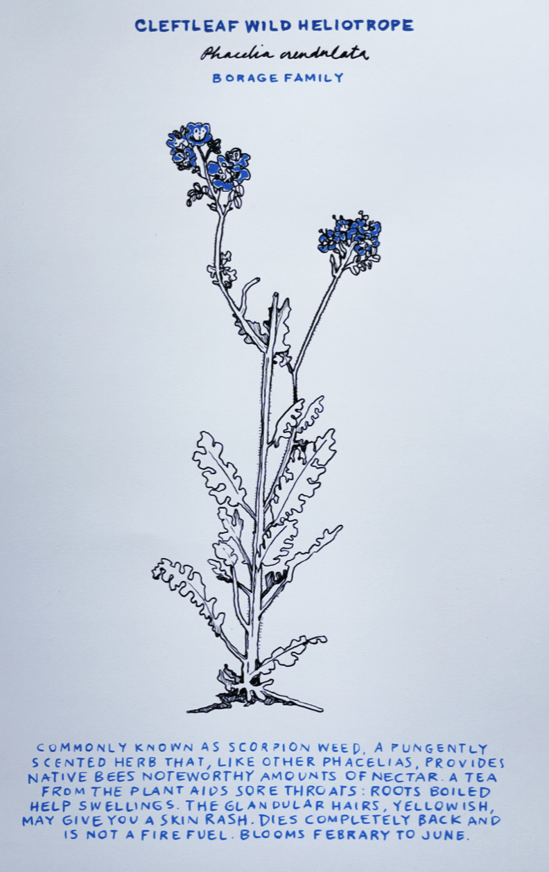 Screen Shot 2024-05-22 at 6.19.33 PM.png