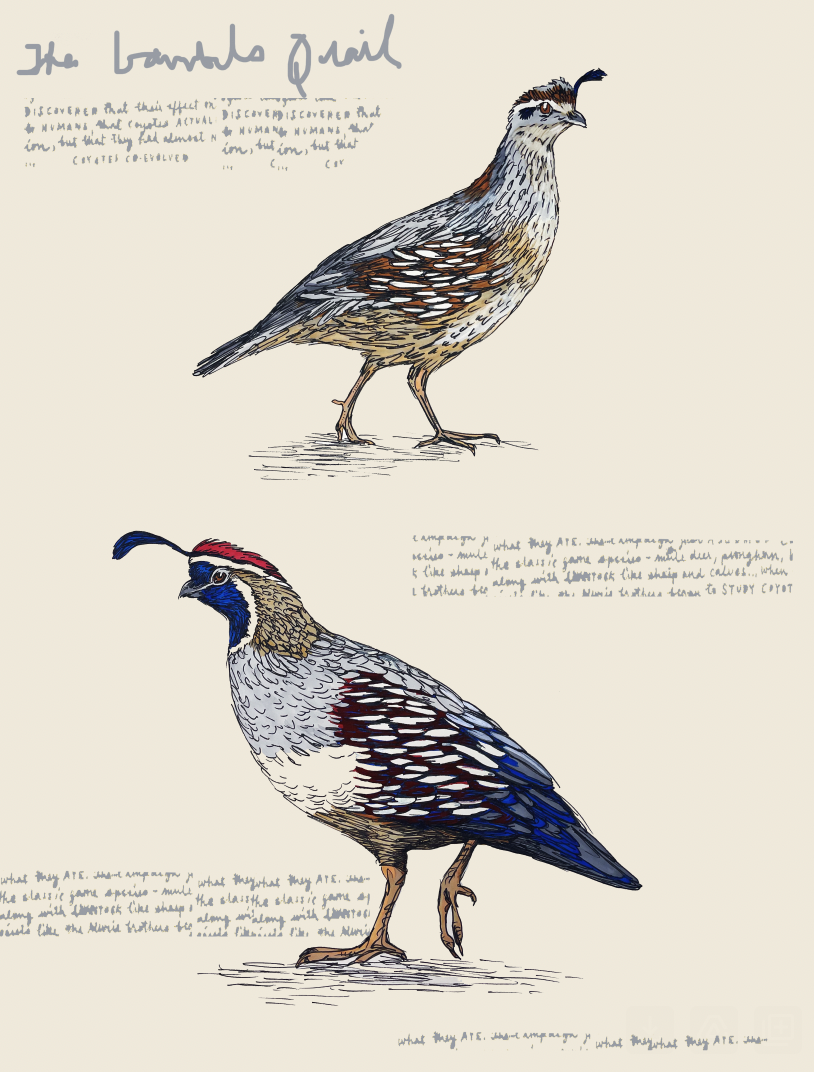 Screen Shot 2024-05-22 at 6.19.08 PM.png