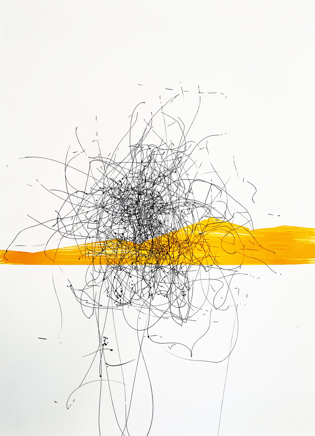 Screen Shot 2024-08-06 at 8.47.43 AM.png